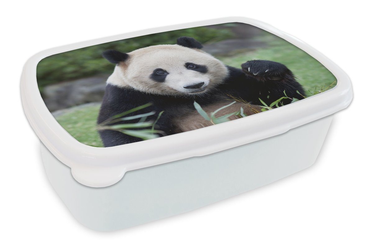 MuchoWow Lunchbox Großer Panda - Gras - Steine, Kunststoff, (2-tlg), Brotbox für Kinder und Erwachsene, Brotdose, für Jungs und Mädchen weiß | Lunchboxen