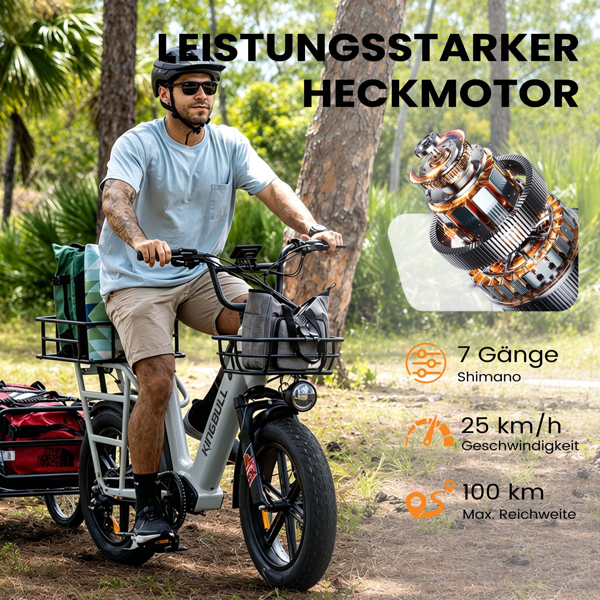 Vankel E-Bike Cityrad Cargo Damen u. Herren 20"x4" 960Wh 48V, max.100km Hydraulikbremsen, Kettenschaltung, Heckmotor, 960 Wh, (Beleuchtungsset mit Batterieladegerät, Batterieschlüssel, Werkzeug), Lasten-Elektrofahrrad mit Fat-Reifen, großem Transportträger