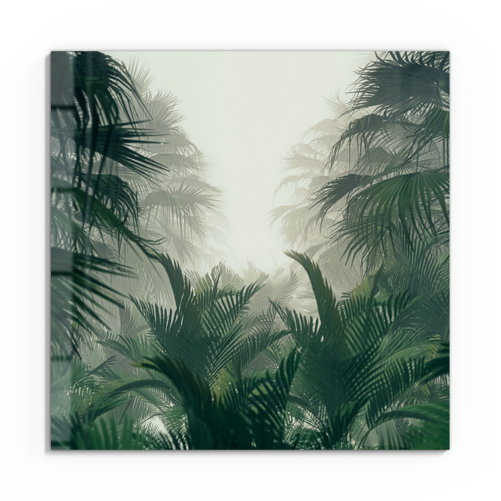 DEQORI Glasbild 'Nebelwaldgeheimnis', 'Nebelwaldgeheimnis', Glas Wandbild Bild schwebend modern