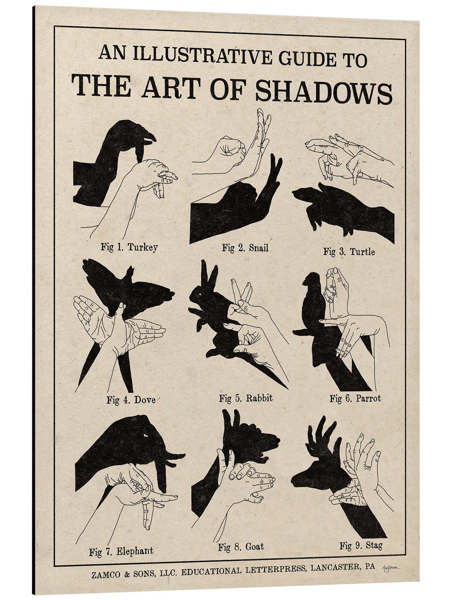 Posterlounge Wandbild Die Kunst der Schattenspiele günstig online kaufen