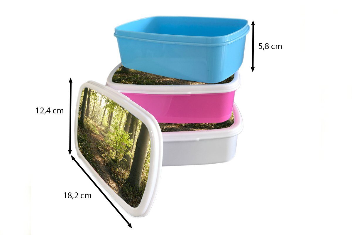 MuchoWow Lunchbox Wald - Bäume weiß - Kunststoff, für Laub Erwachsene, - Pflanzen - Kinder Mädchen Natur, und und (2-tlg), Jungs - Brotdose, - Sonne Weg für Brotbox