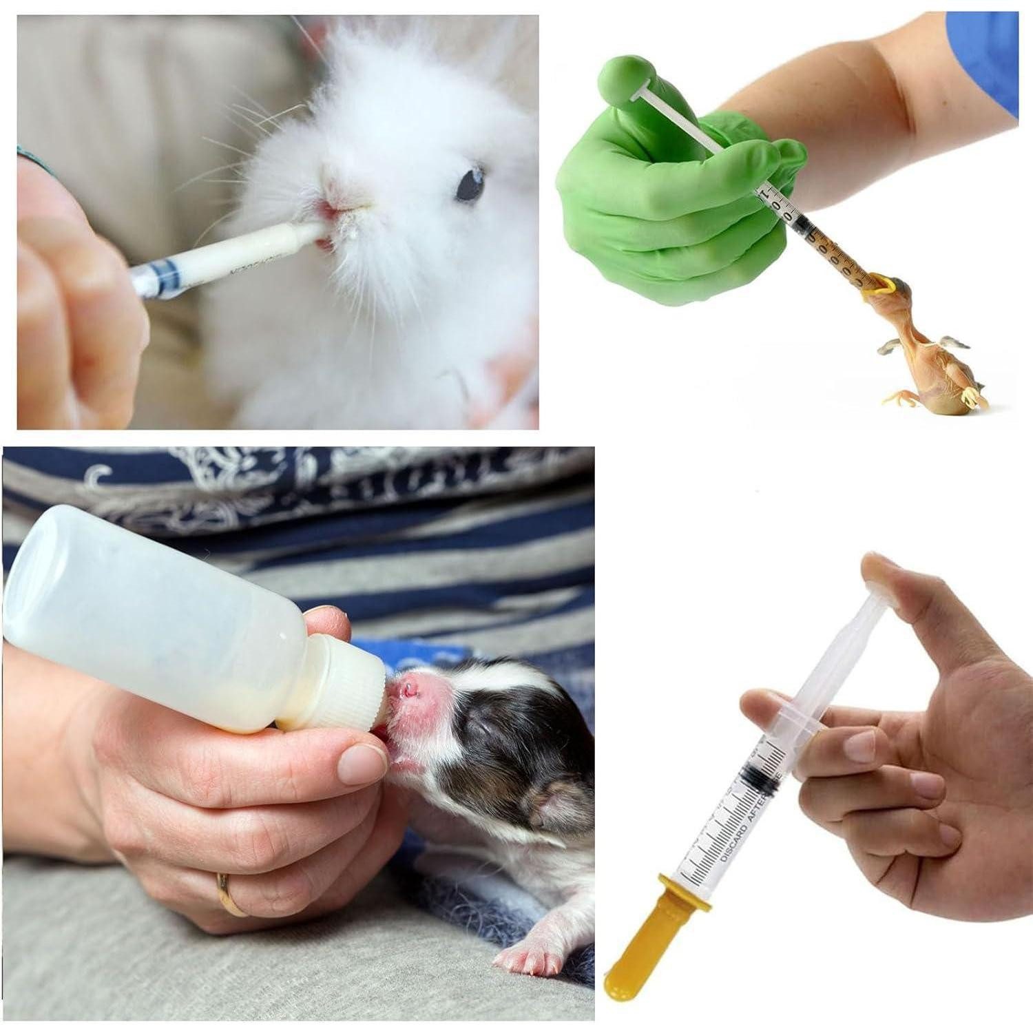 LuxusKollektion Schutzkragen Aufzuchtflasche für Katzen und Welpen 18 Stück mit Nippel und Spritzen