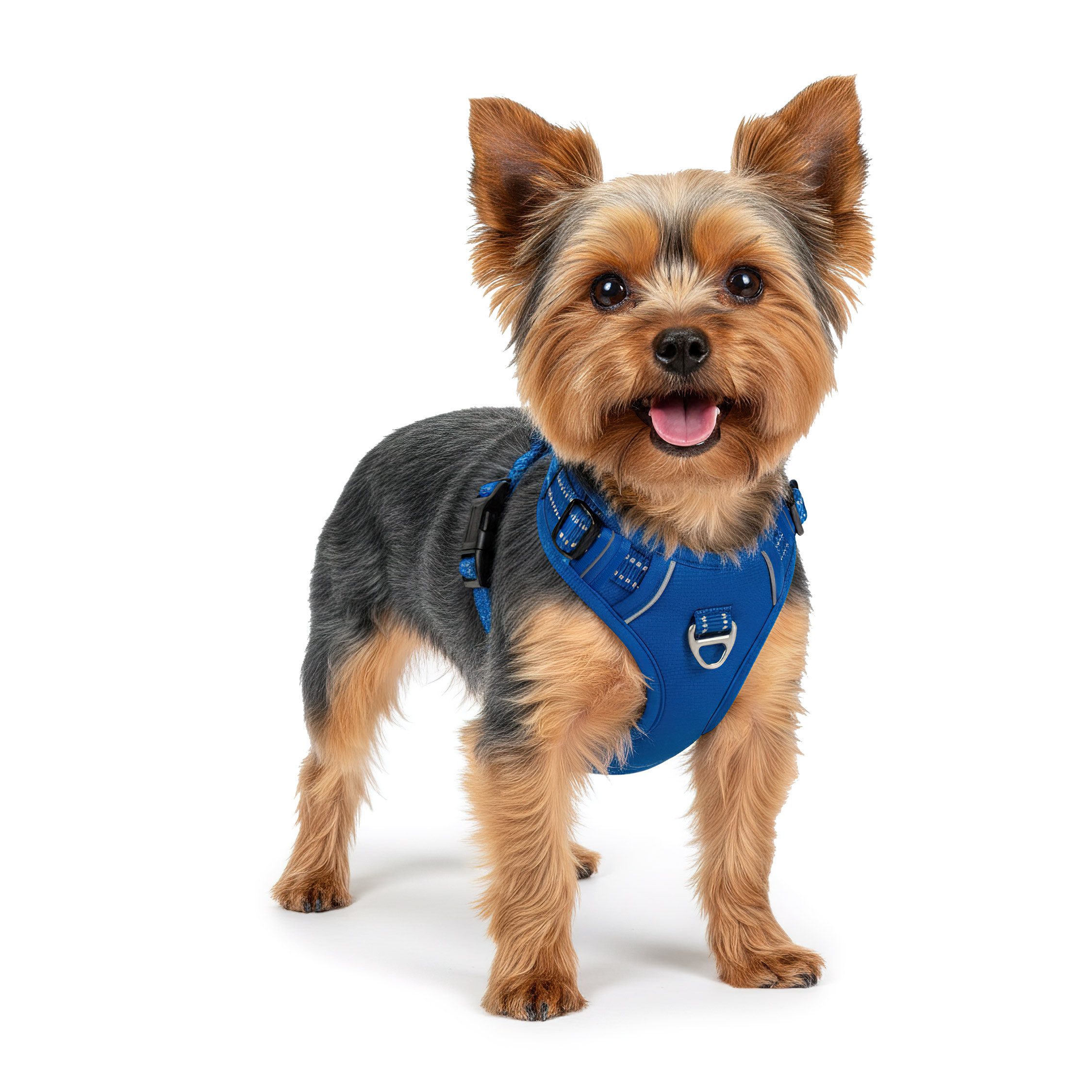 Reichstadt Hunde-Geschirr RS Pets Norwegergeschirr 25RSP083, Polyester, atmungsaktives Netzgewebe und robuster Oxford-Stoff