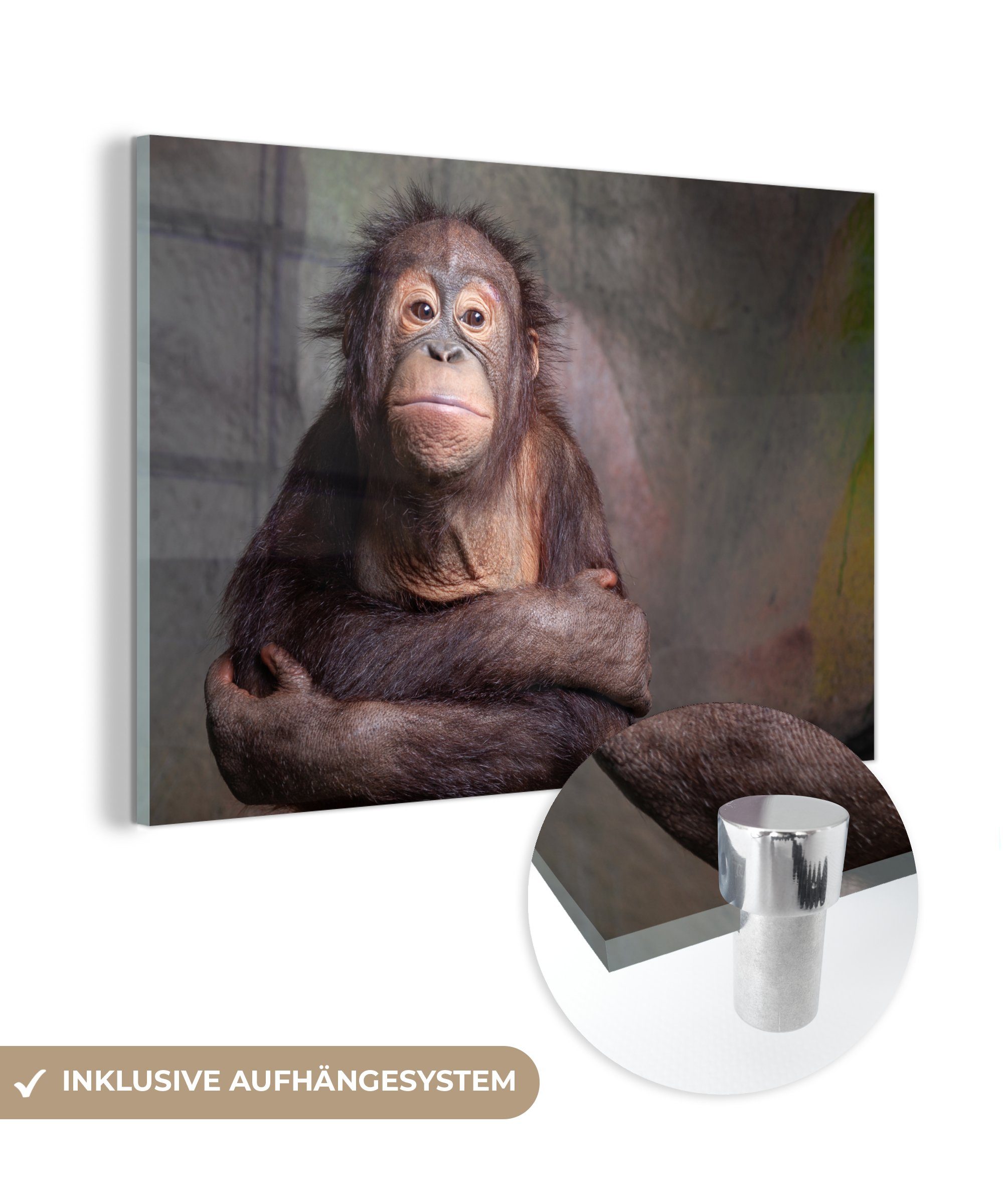 MuchoWow Acrylglasbild Der Affe umarmt sich selbst, (1 St), Acrylglasbilder Wohnzimmer & Schlafzimmer