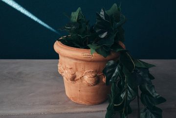 Teramico Pflanzkübel Blumentopf Terrakotta Siena Conca Limoni 20x17cm, 100% Frostfest