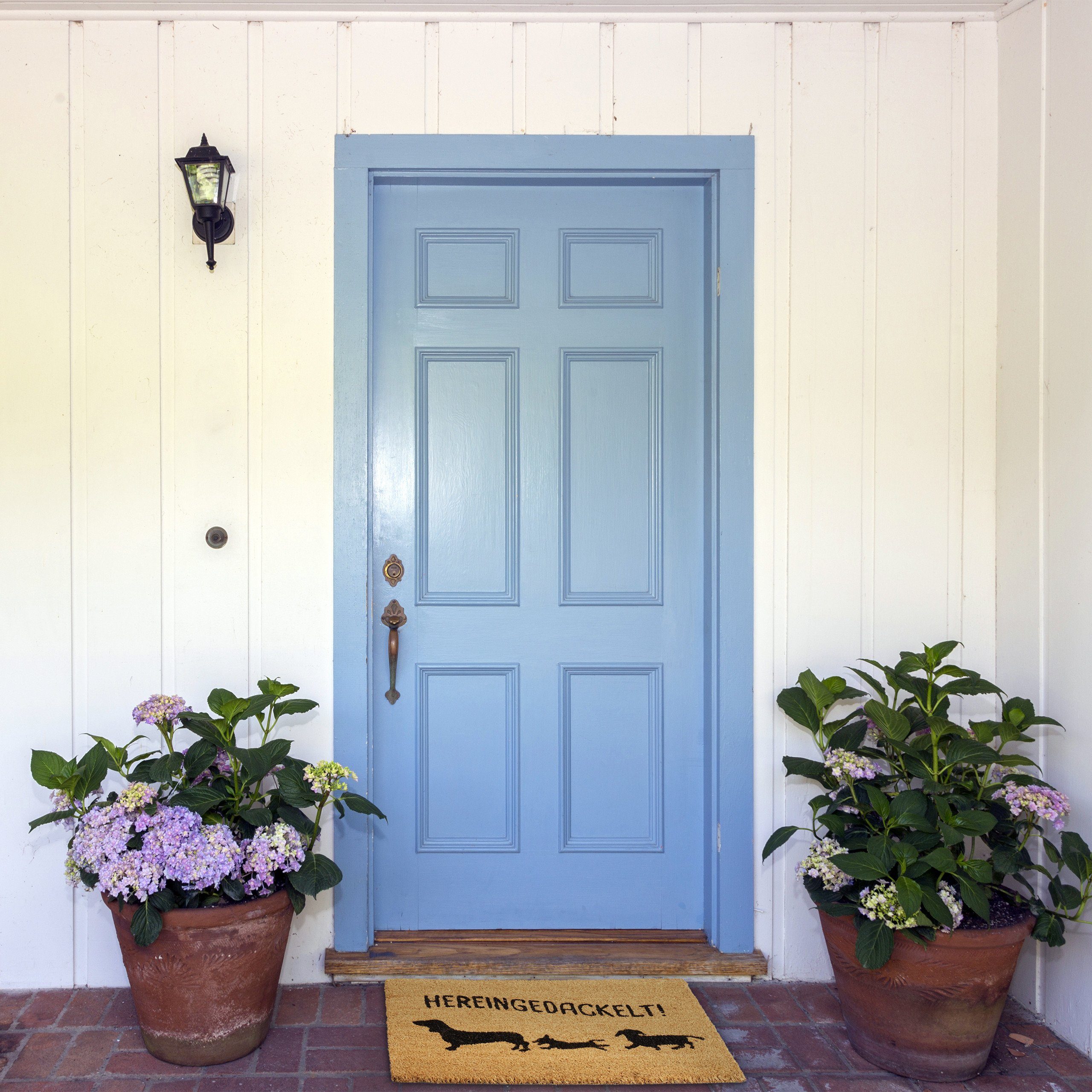 relaxdays Fußmatte Kokos "Hereingedackelt", Höhe: 15 mm günstig online kaufen