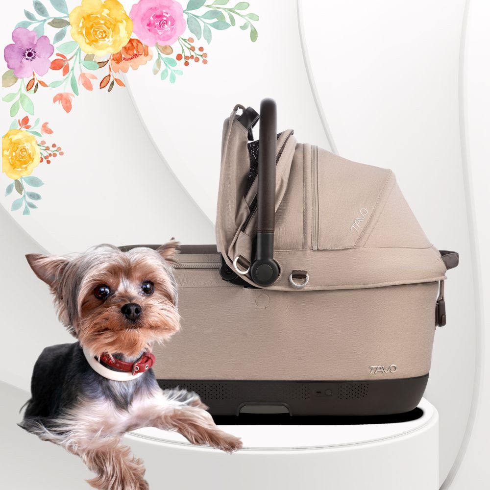 Tavo Hunde-Autositz Maeve™ iso6X mit Belüftungssystem