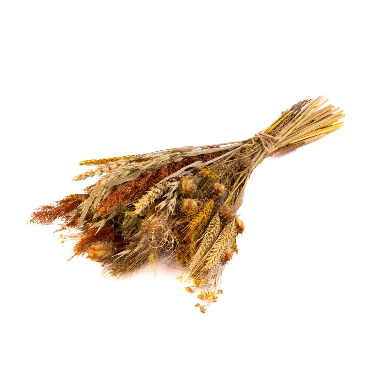 Trockenblume Blumenstrauß getrocknet CARMENTA, gelb-Natur, 50cm, Ø20cm, INNA-Glas, Höhe 50.0 cm