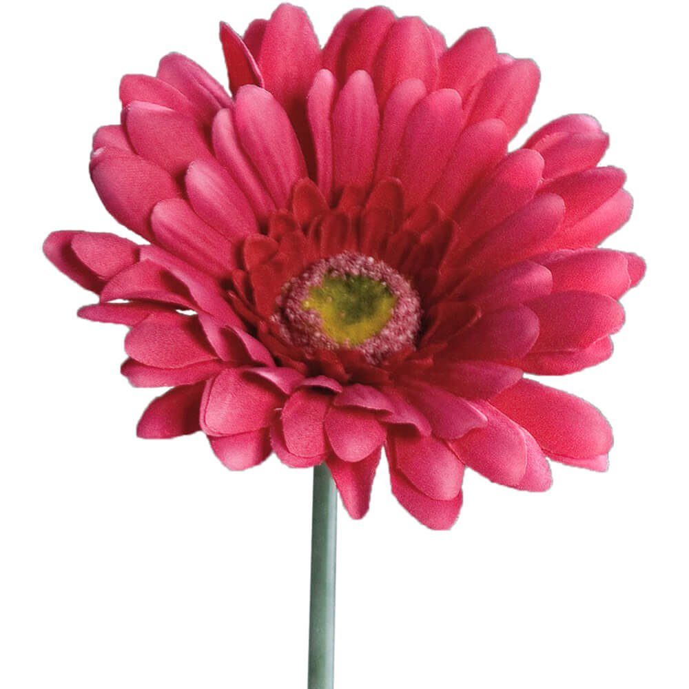 Kunstblume Gerbera Kunstblumen Höhe cm cm, 1 Stk Gerbera, matches21 HOBBY, & Blüten 56 56 Indoor pink HOME