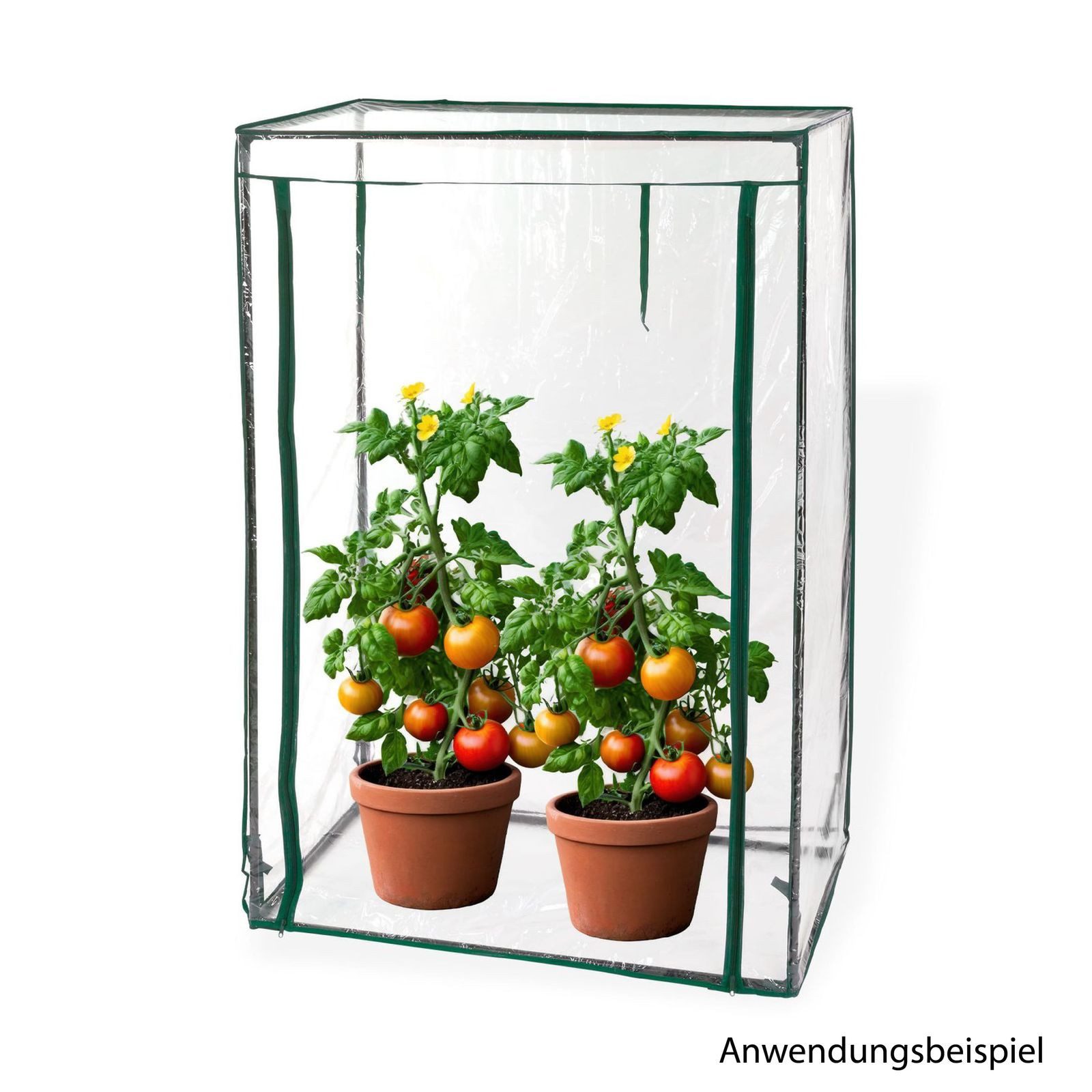 DEMA Tomatengewächshaus Tomaten Gewächshaus 100/50/150cm