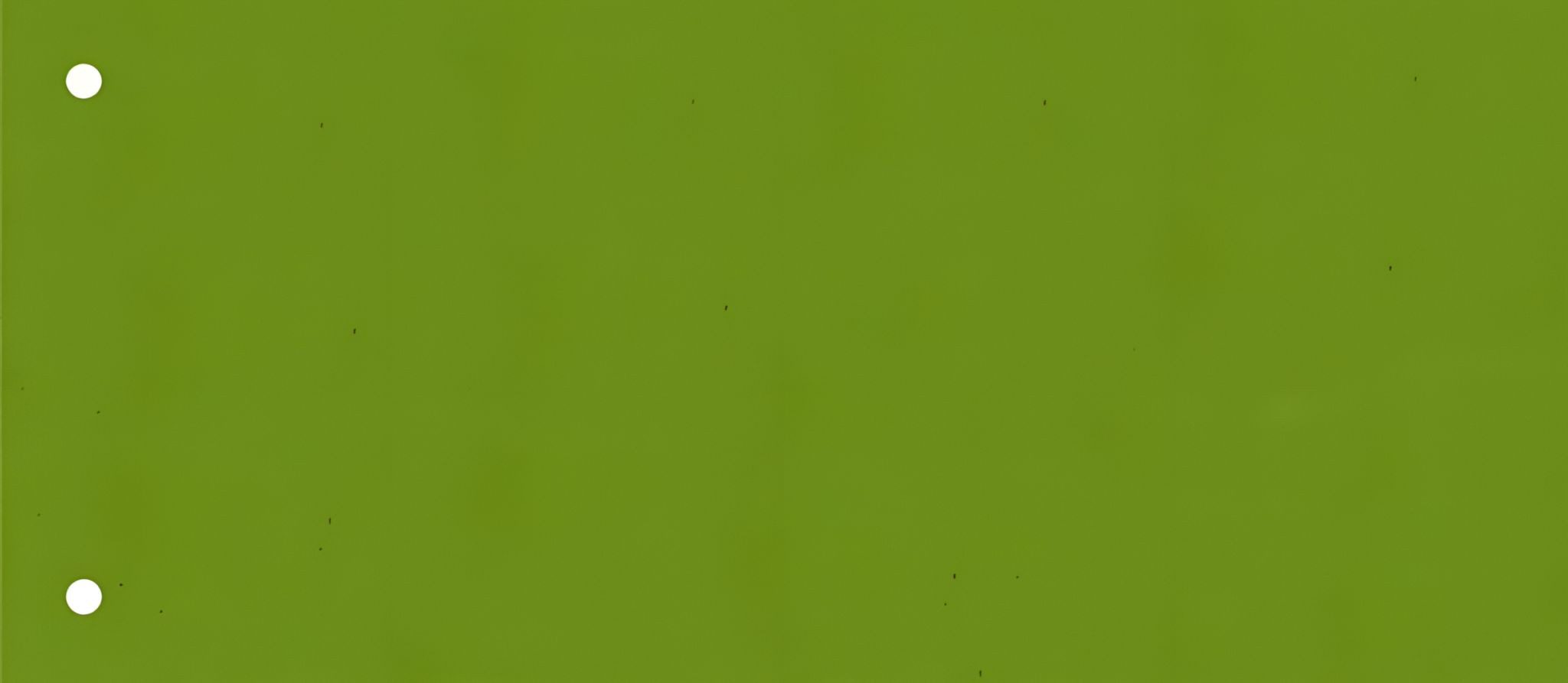 BRUNNEN Trennstreifen BRUNNEN Trennstreifen 105x24cm grün 106604050