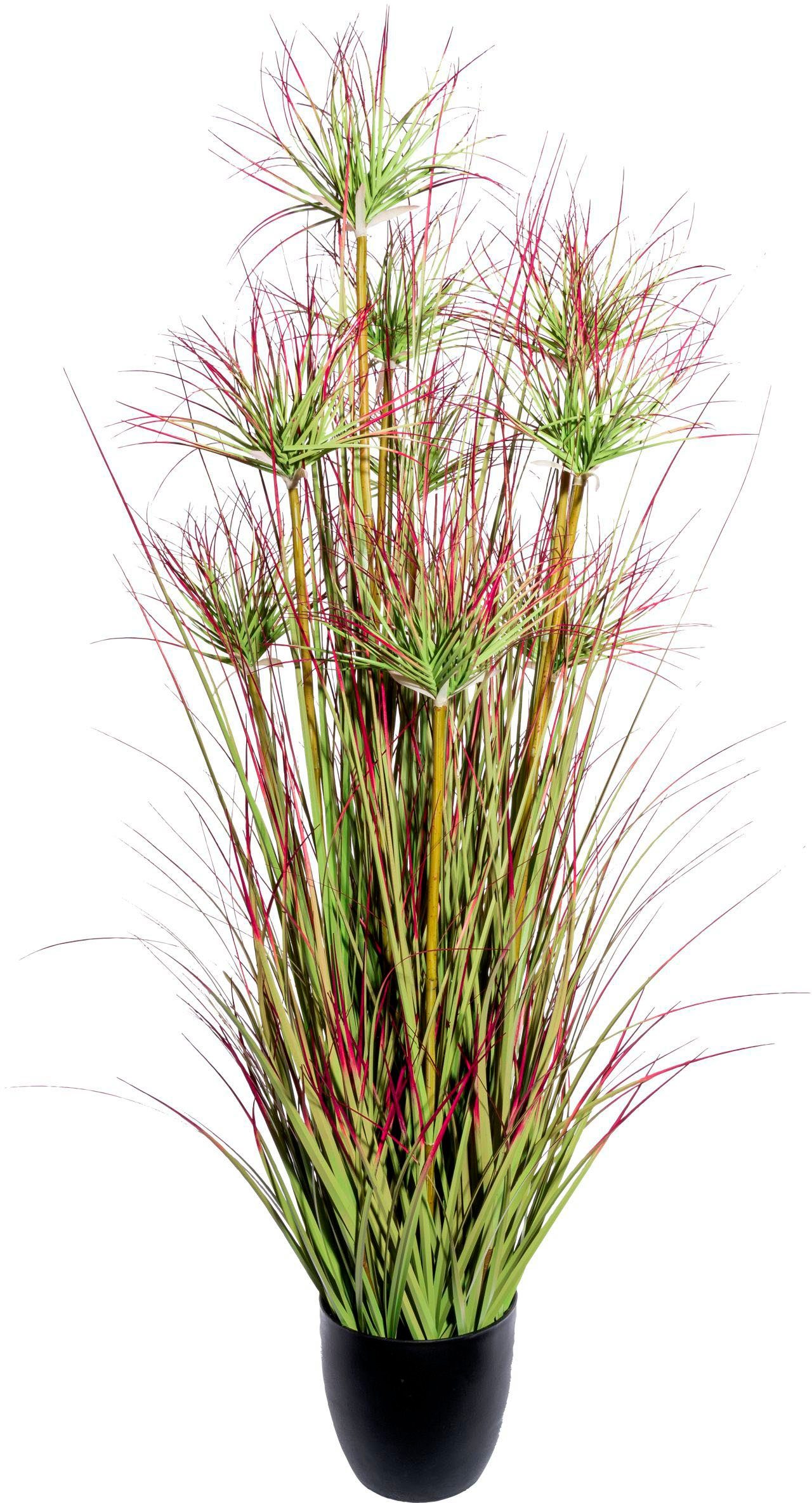 Kunstgras Cyperngrasbusch Gras, Creativ green, Höhe 125 cm günstig online kaufen