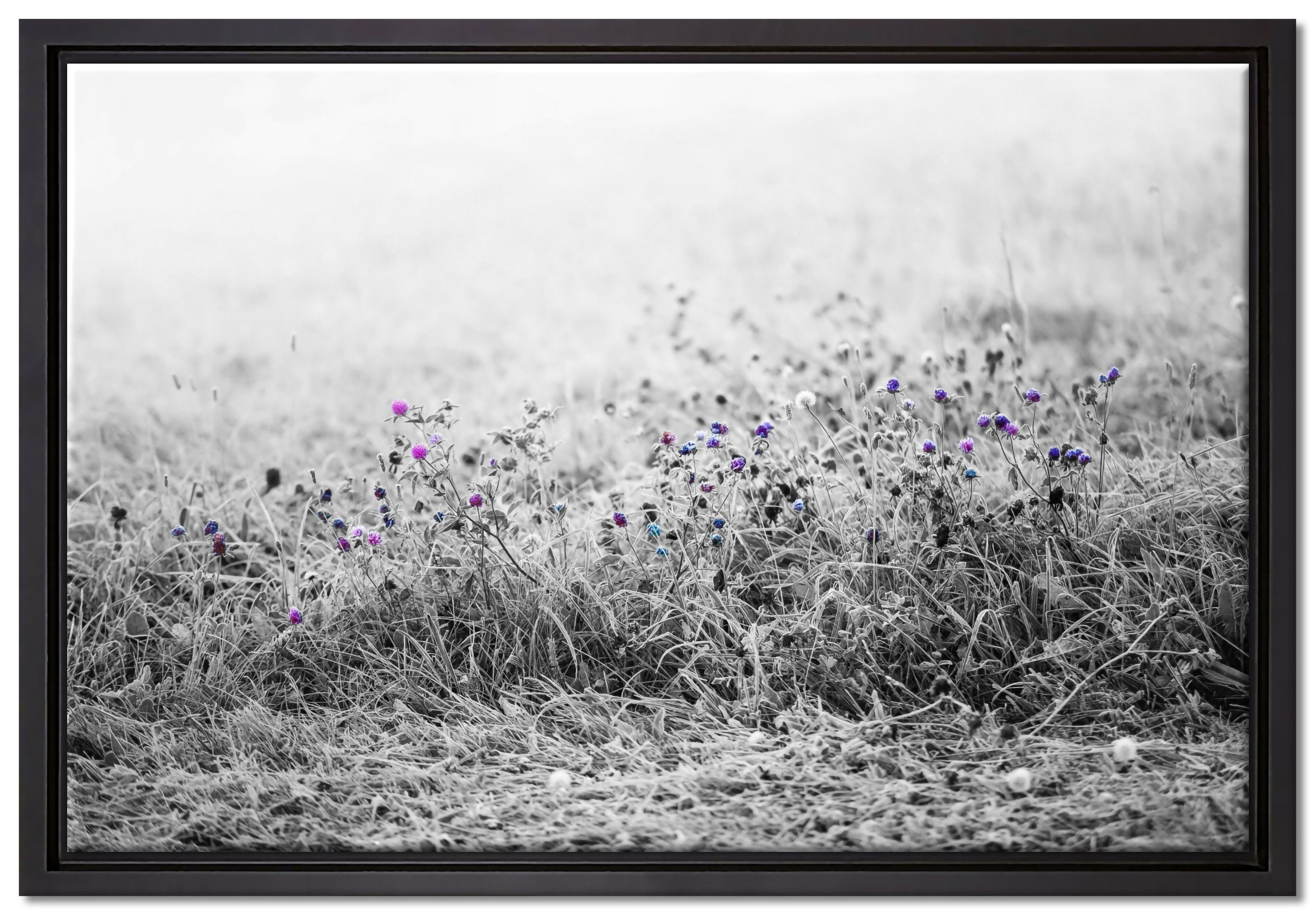 St), fertig Leinwandbild Zackenaufhänger Pixxprint Leinwandbild Schattenfugen-Bilderrahmen Look, Feld bespannt, im (1 Distel gefasst, in inkl. einem Wanddekoration Retro