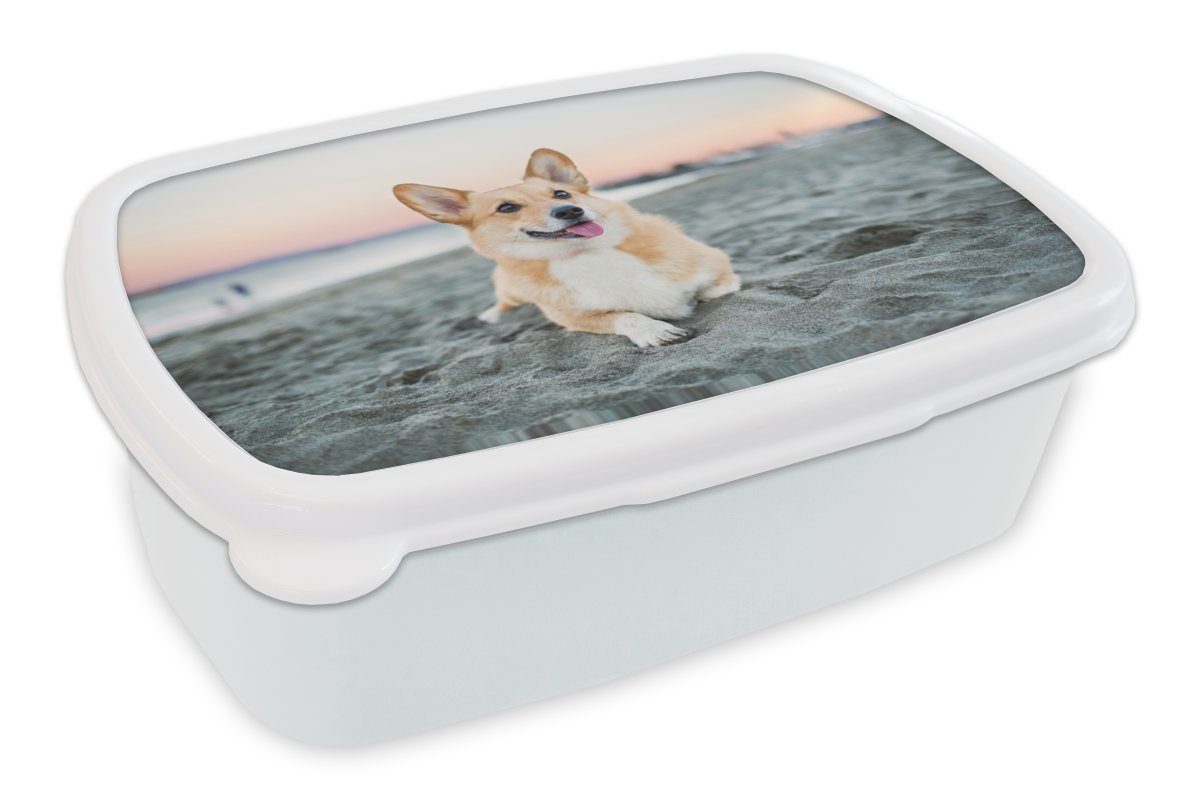 MuchoWow Lunchbox Hund am Strand, Kunststoff, (2-tlg), Brotbox für Kinder und Erwachsene, Brotdose, für Jungs und Mädchen weiß