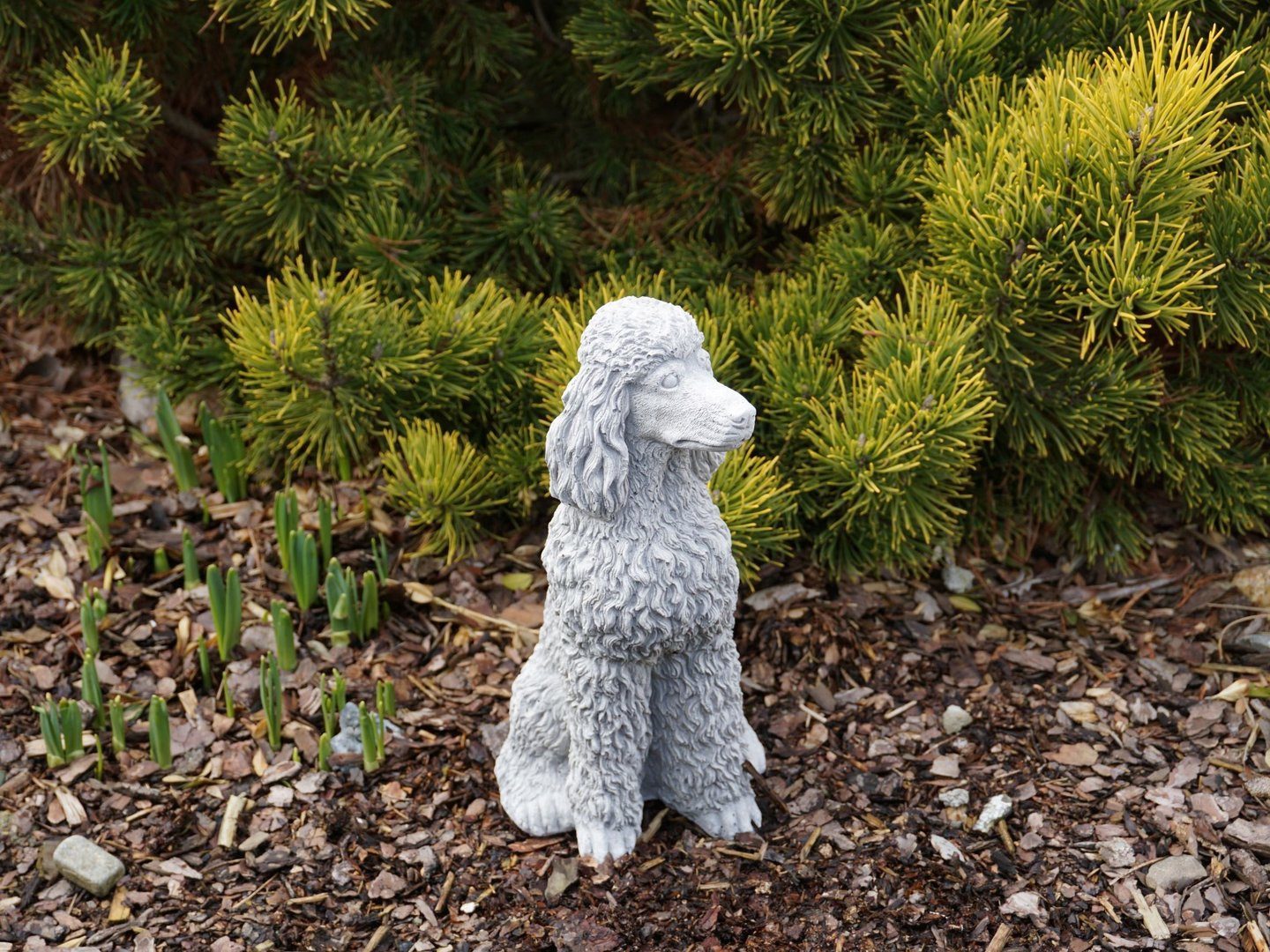 gartendekoparadies.de Gartenfigur Stolzer Pudel mit üppigen günstig online kaufen
