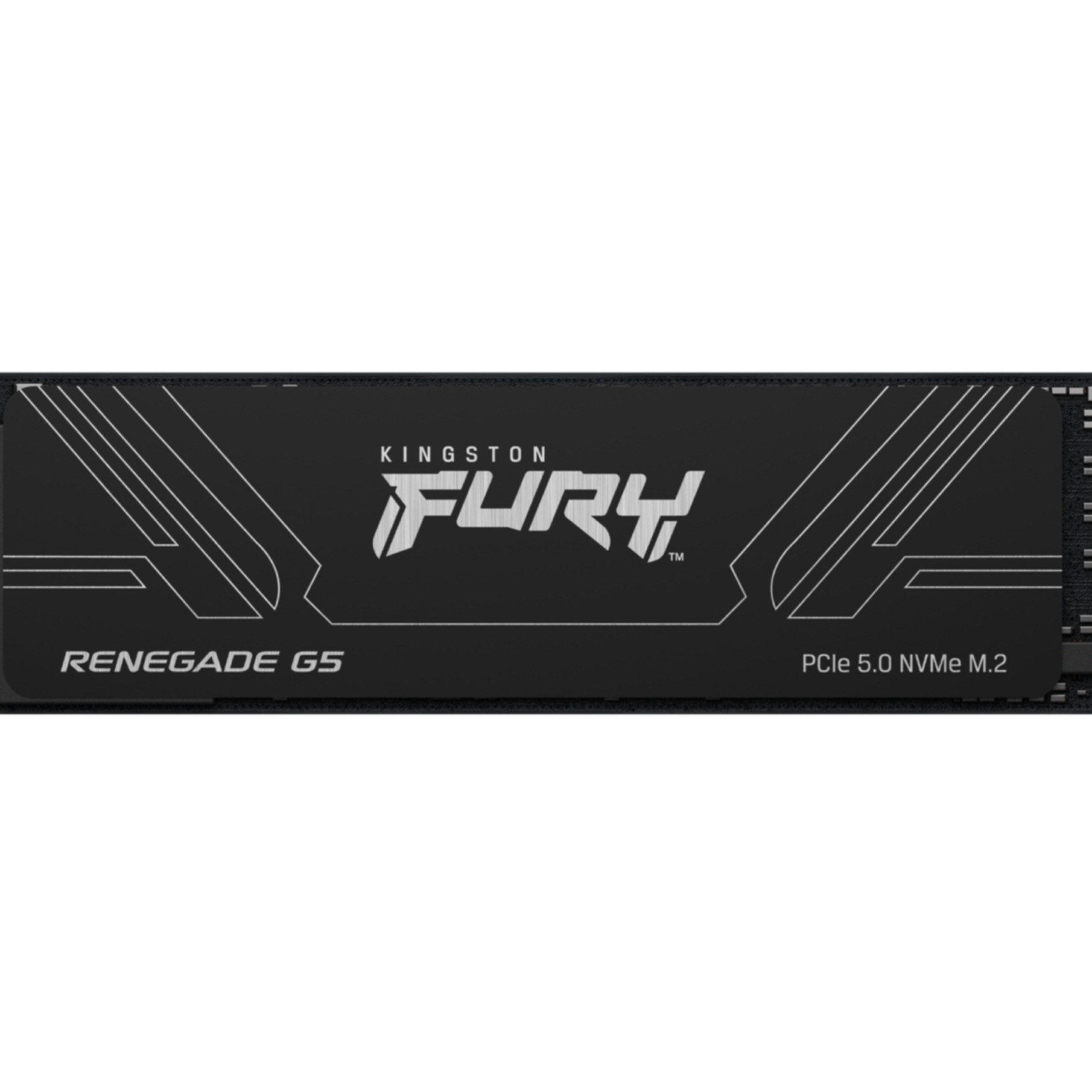 Kingston 2T FURY RENEGADE G5 M.2 2280 NVMe SSD interne SSD
