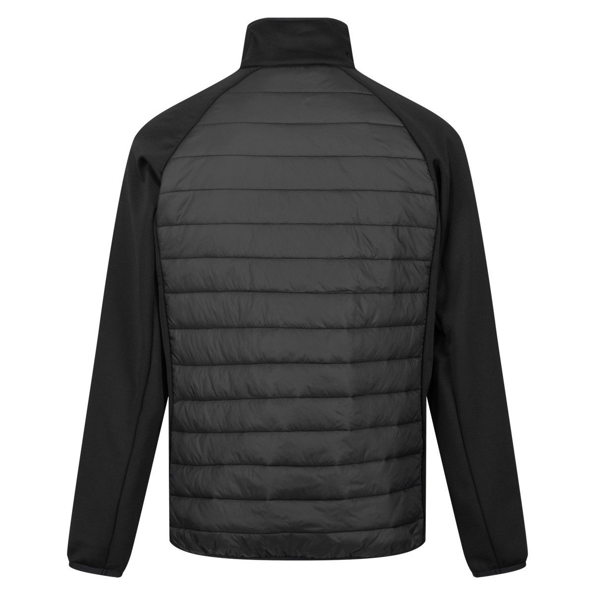 Regatta Funktionsjacke Clumber IV Hybrid Herren Winterjacke, Mantel, Parka, günstig online kaufen