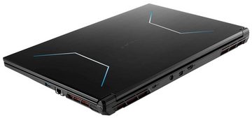CAPTIVA Highend Gaming I75-963G1 Gaming-Notebook (43,94 cm/17,3 Zoll, Intel Core i9 13900H, 500 GB SSD)