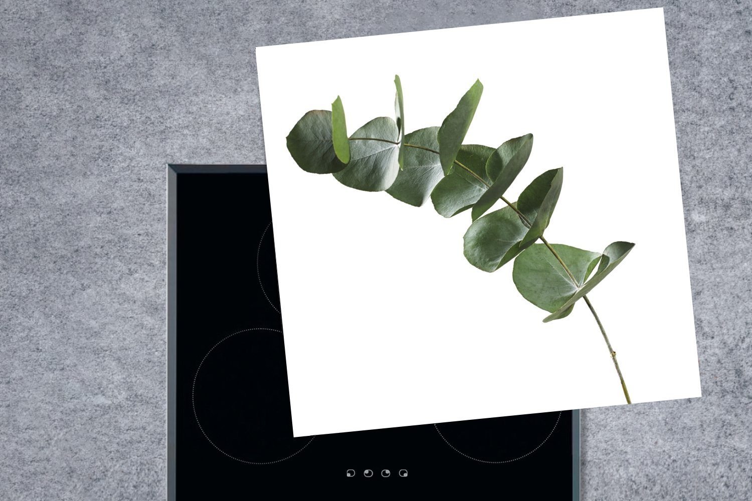 MuchoWow Herdblende-/Abdeckplatte Grüne Eukalyptusblätter Vinyl, für cm, Hintergrund, küche 78x78 (1 Ceranfeldabdeckung, auf weißem Arbeitsplatte tlg)
