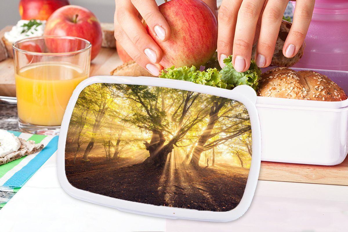 MuchoWow Lunchbox Baum - und Sonne, Mädchen Kunststoff, Brotbox für weiß Kinder Wald Jungs für und Brotdose, Erwachsene, (2-tlg), 