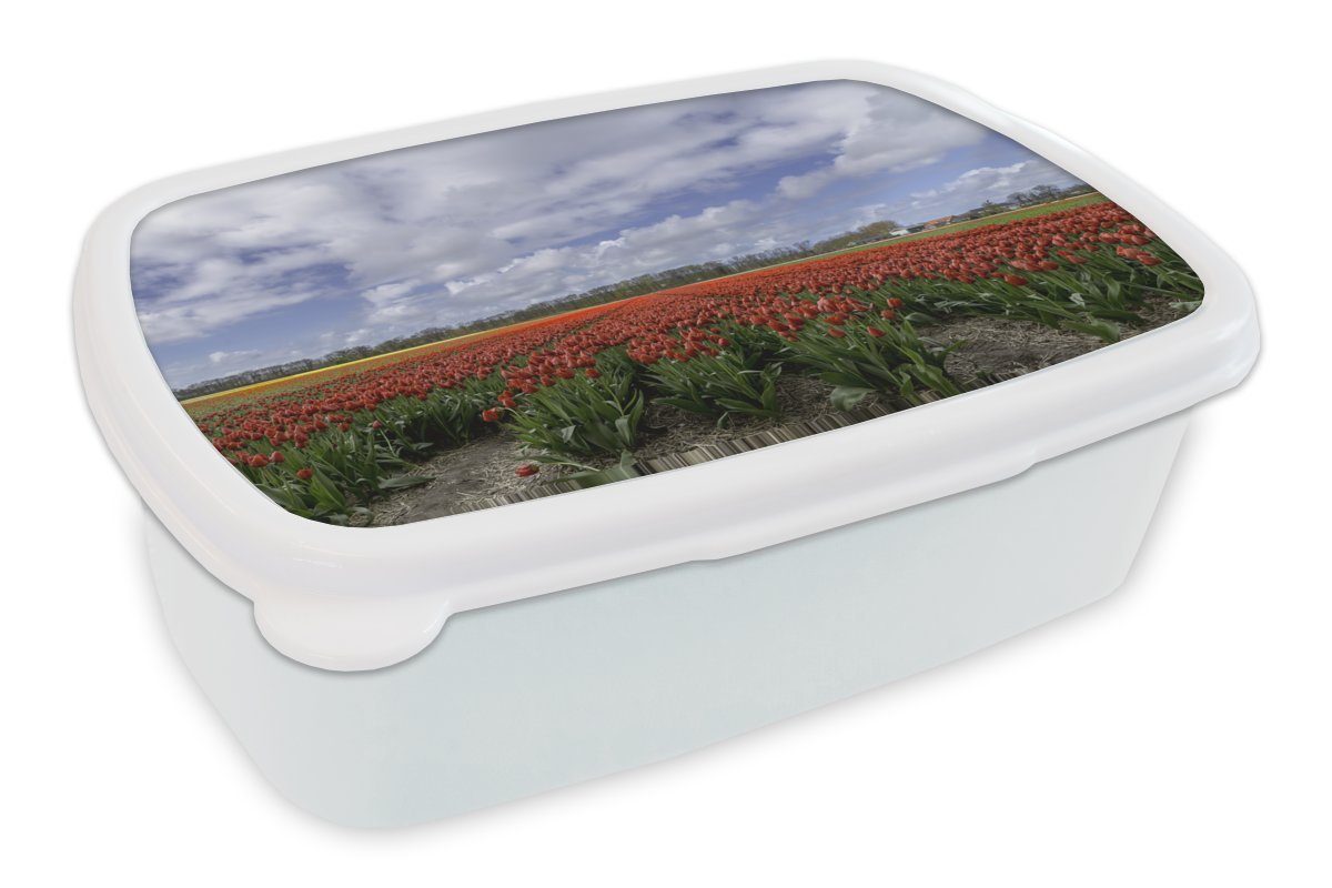 Brotbox Lunchbox weiß auf MuchoWow für Rote Jungs in Kunststoff, dem Erwachsene, Brotdose, Mädchen und und Tulpen Südholland, (2-tlg), Keukenhof für Kinder