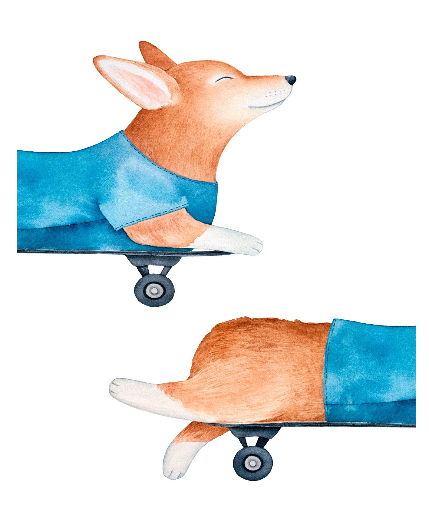 Lüttenhütt Bild mit Rahmen oder Poster, Hund auf Skateboard, Fahrzeuge, Fantasy, Hund, Hundebilder, Tiere (1 St), HD Premium Druck