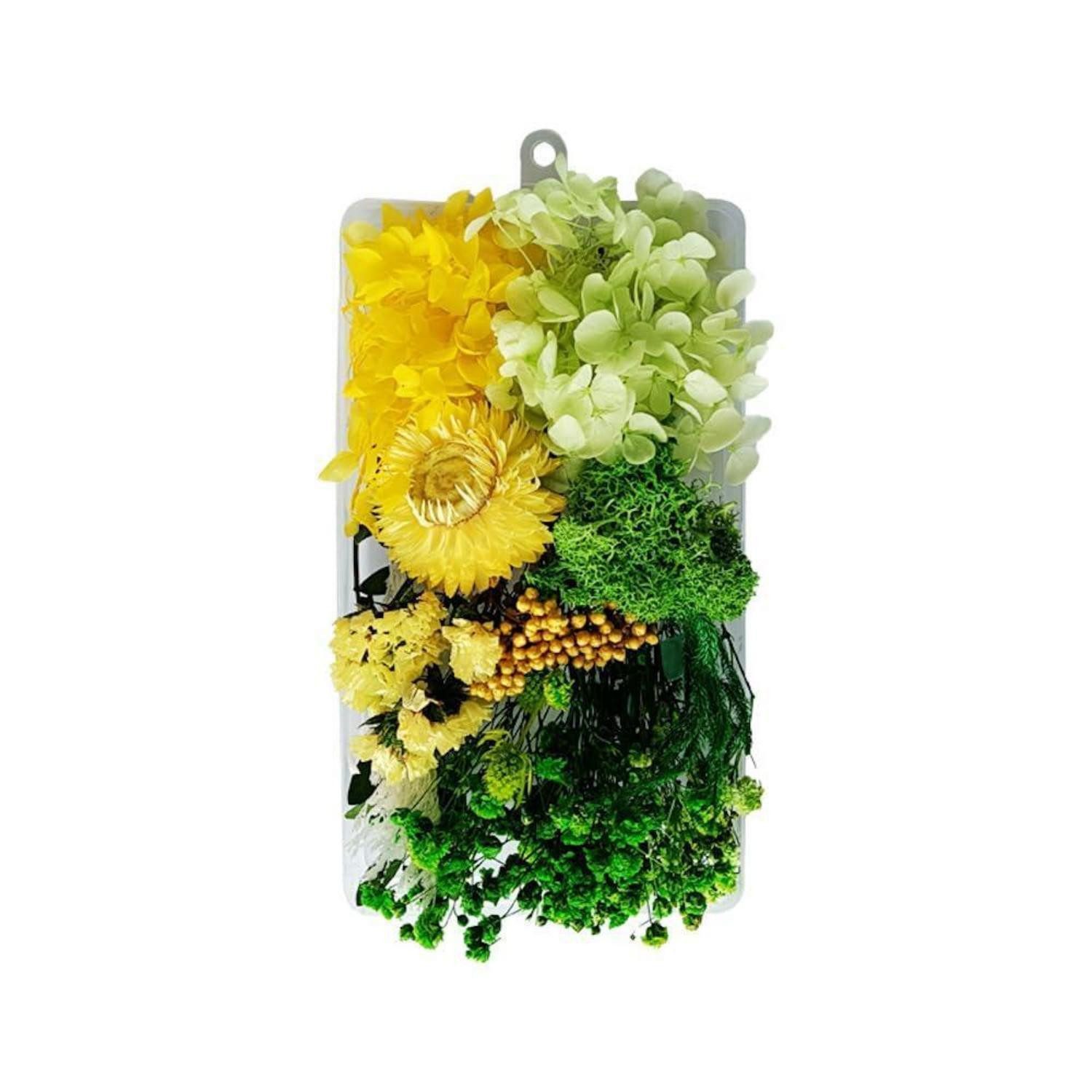 Trockenblume Getrocknete Blumen Set Grün zum Basteln & Dekorieren, LuxusKollektion