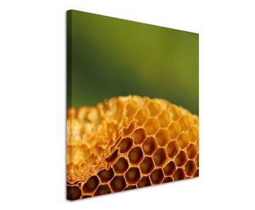 Sinus Art Leinwandbild Naturfotografie – Honigwabe auf Leinwand