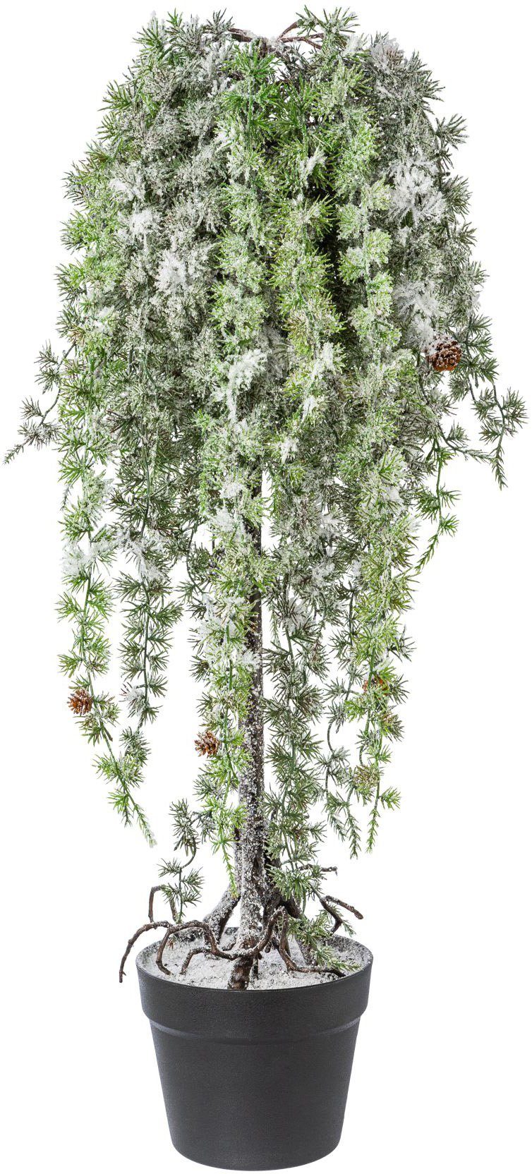 und Cedernbaum Schnee Zapfen mit Creativ deco Weihnachtsbaum, im Topf Künstlicher