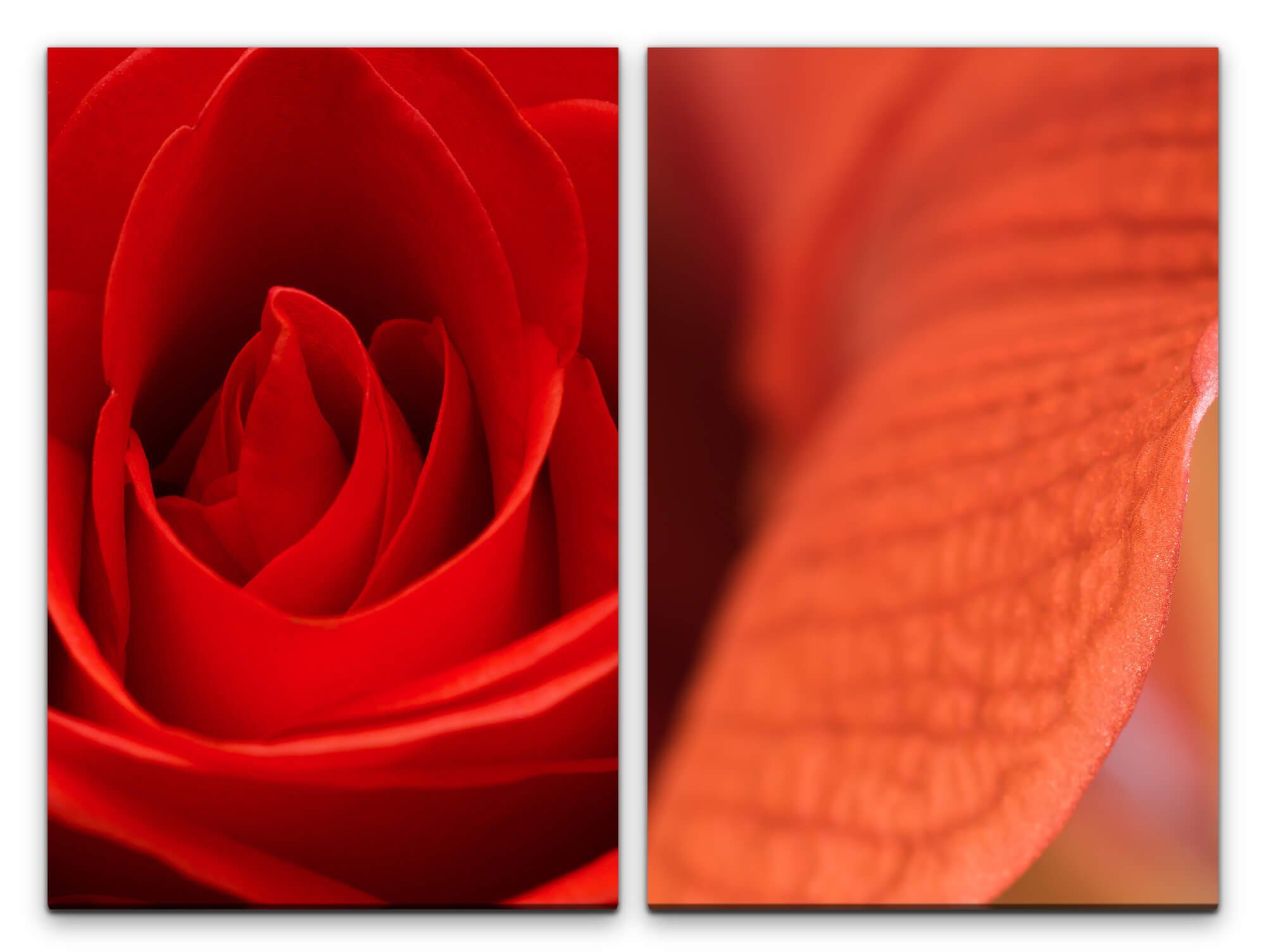 Sinus Art Leinwandbild 2 Bilder je 60x90cm Rose Rot Liebe Romantisch Leidenschaft Verführerisch Passion