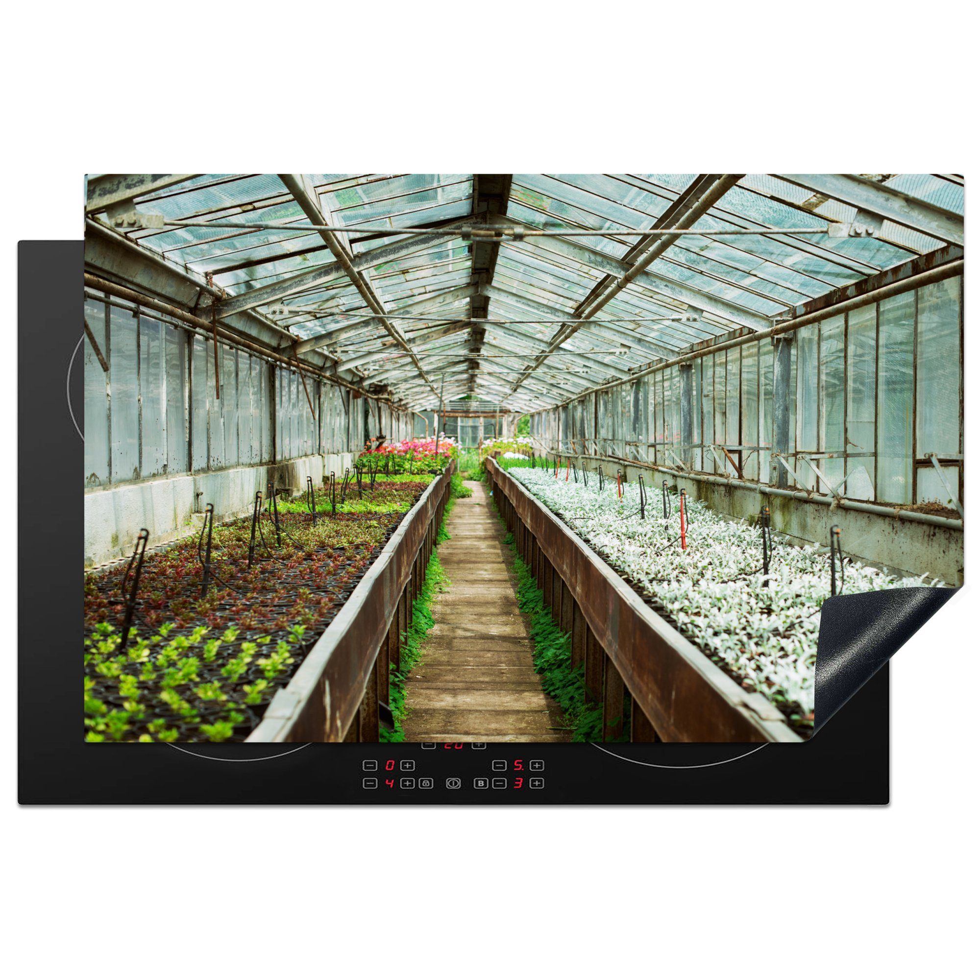 MuchoWow Herdblende-/Abdeckplatte Pflanzen in einer Reihe in einem Gewächshaus, Vinyl, (1 tlg), 81x52 cm, Induktionskochfeld Schutz für die küche, Ceranfeldabdeckung