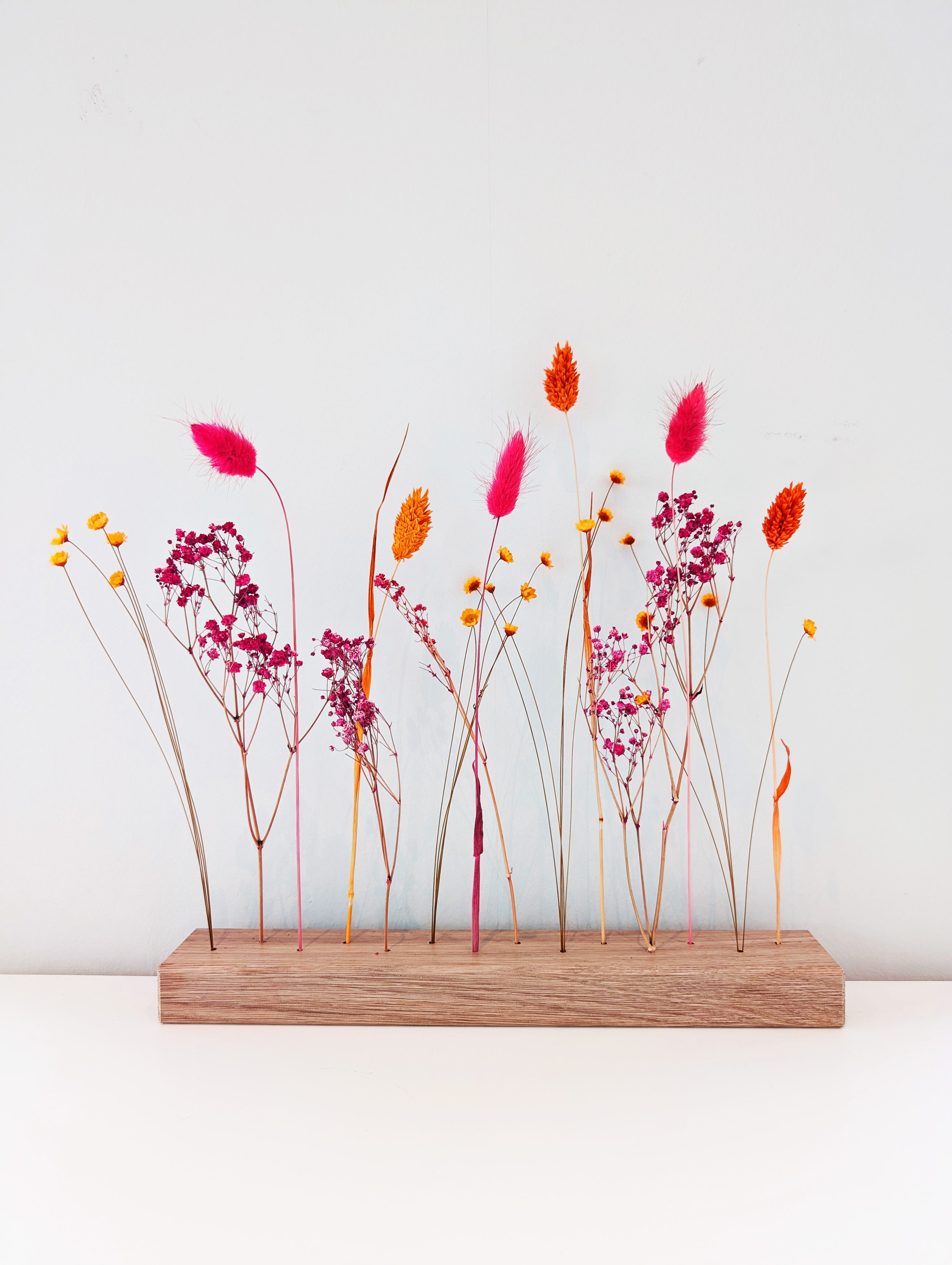 Trockenblume FlowerBar Feuerblüte, Holzleiste mit Trockenblumen günstig online kaufen