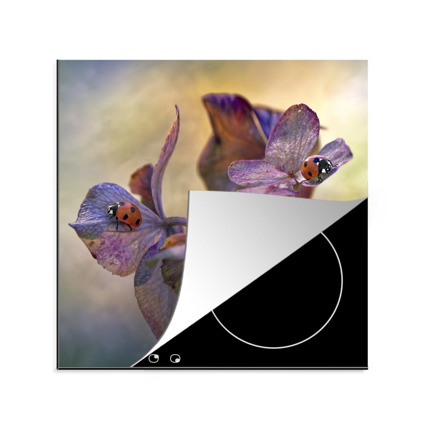 MuchoWow Herdblende-/Abdeckplatte Zwei Marienkäfer auf Blumen, Vinyl, (1 tlg), 78x78 cm, Ceranfeldabdeckung, Arbeitsplatte für küche