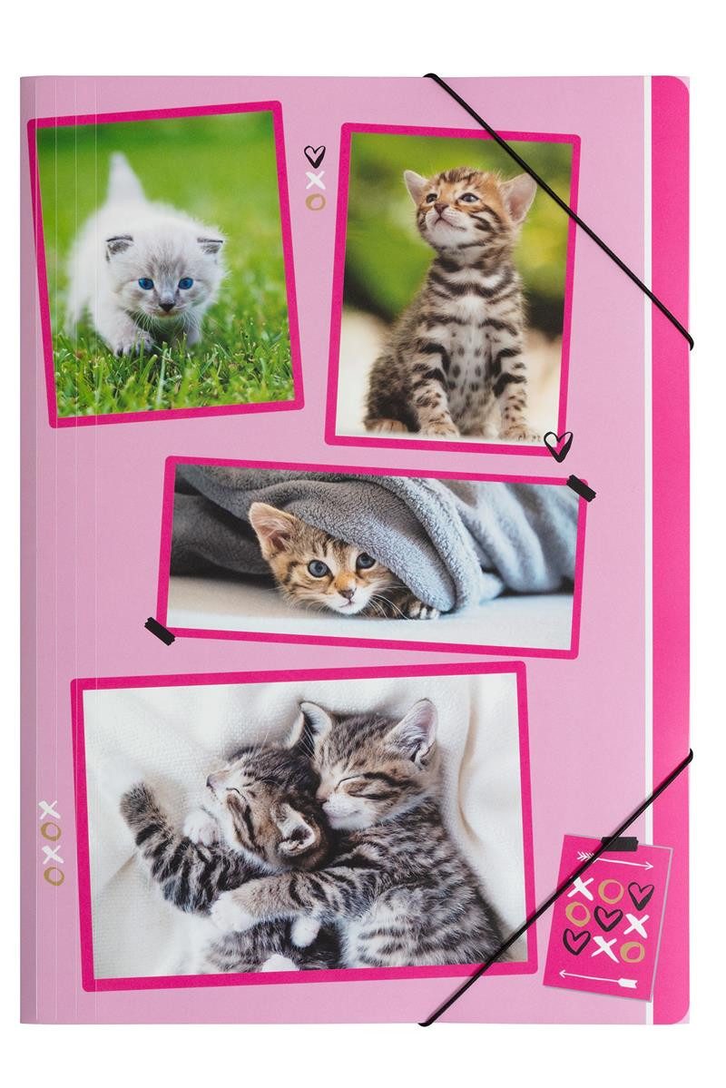 PAGNA Organisationsmappe Gummizugmappe xoxo Cats - A4, 3 Einschlagklappen, PP