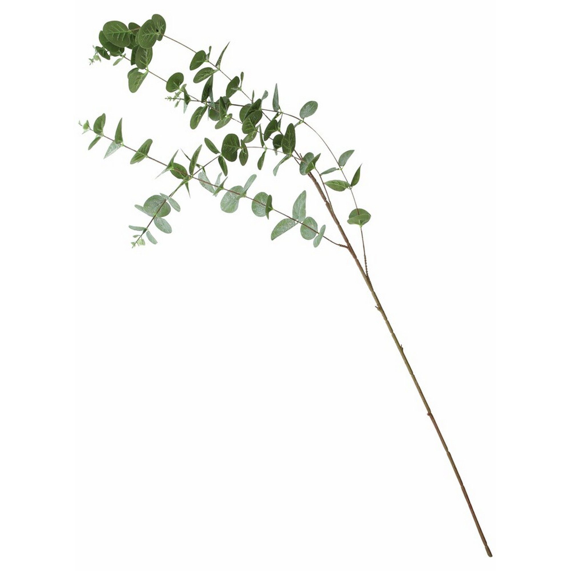 Kunstpflanze Spar-Set HomeLiving "Eukalyptus" Set, 2x 2er