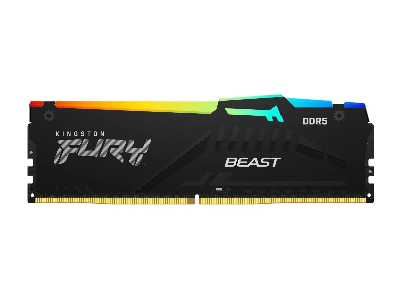 Kingston FURY Beast RGB 32GB DDR5-5600 Single CL36 on-die ECC PC-Arbeitsspeicher (RGB-Beleuchtung mit individuellen Effekten)