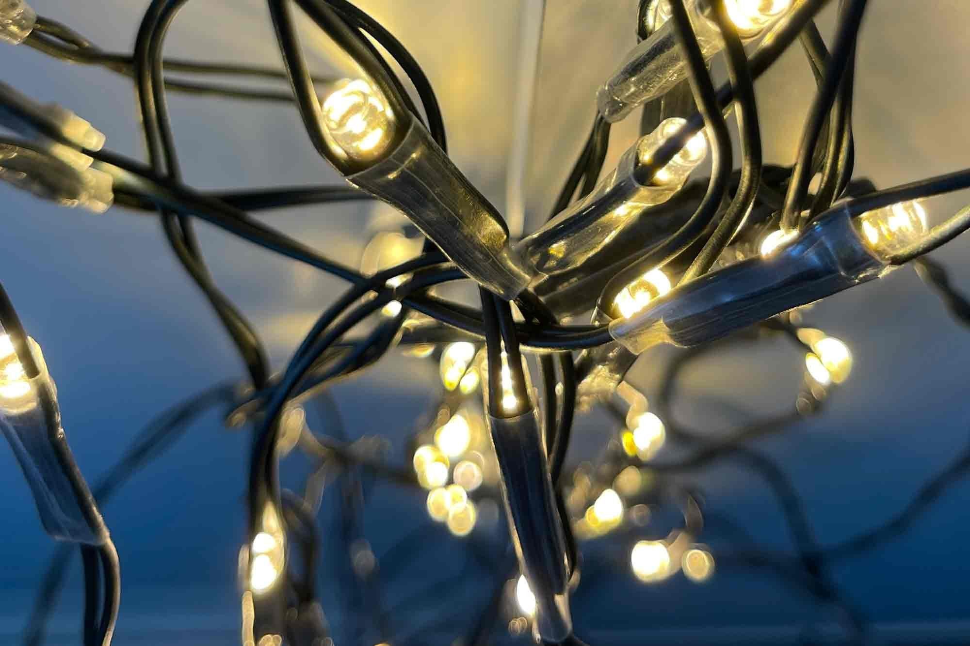 100 Deco Round LED-Lichternetz warmweiß Timer außen Coen Netlight, Buchsbaum 0,9m LED für Bakker BV