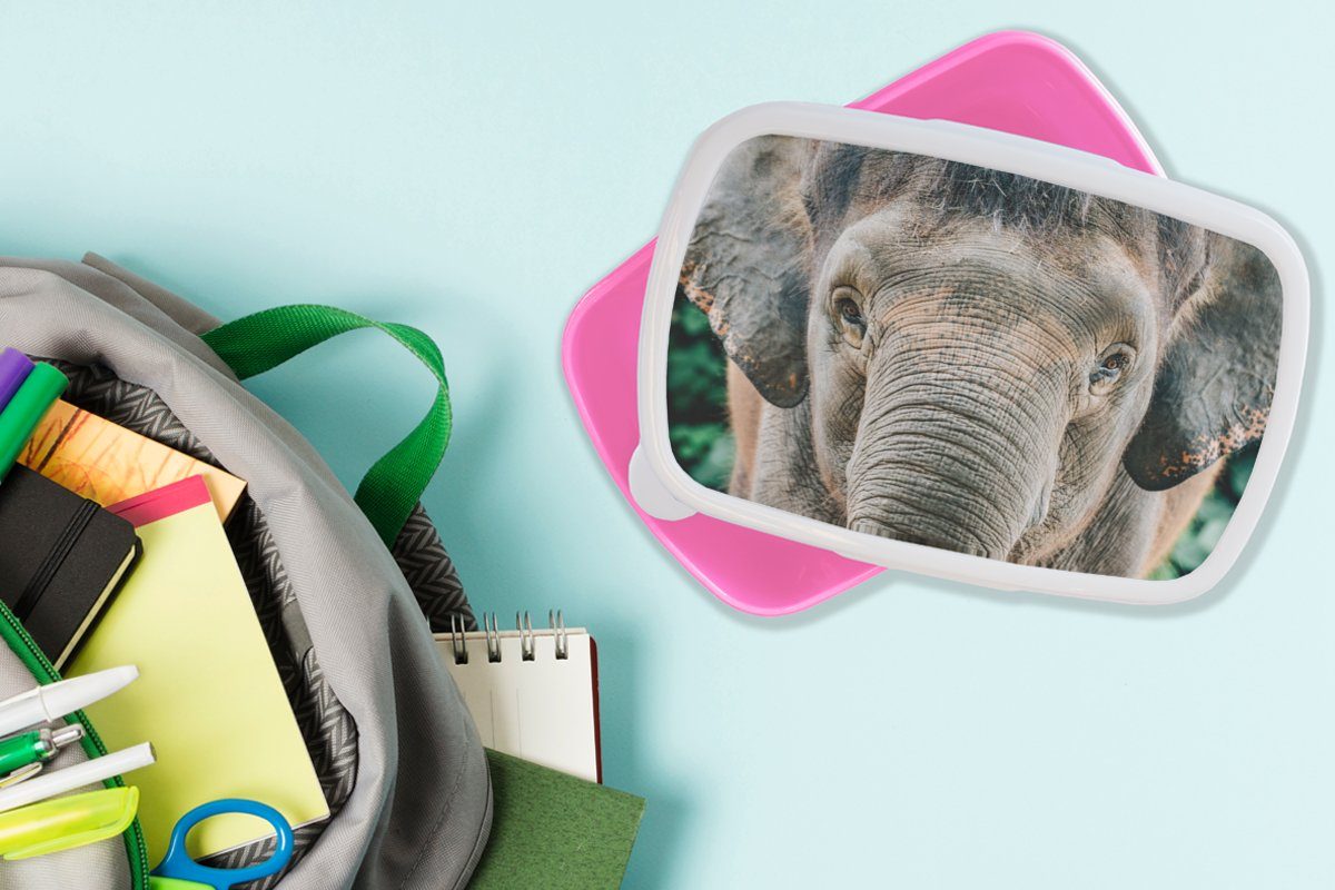 MuchoWow Lunchbox Elefant - Porträt rosa - - Tiere Brotbox Kinder, Brotdose Grau, (2-tlg), Kunststoff Kunststoff, Mädchen, für Snackbox, Erwachsene