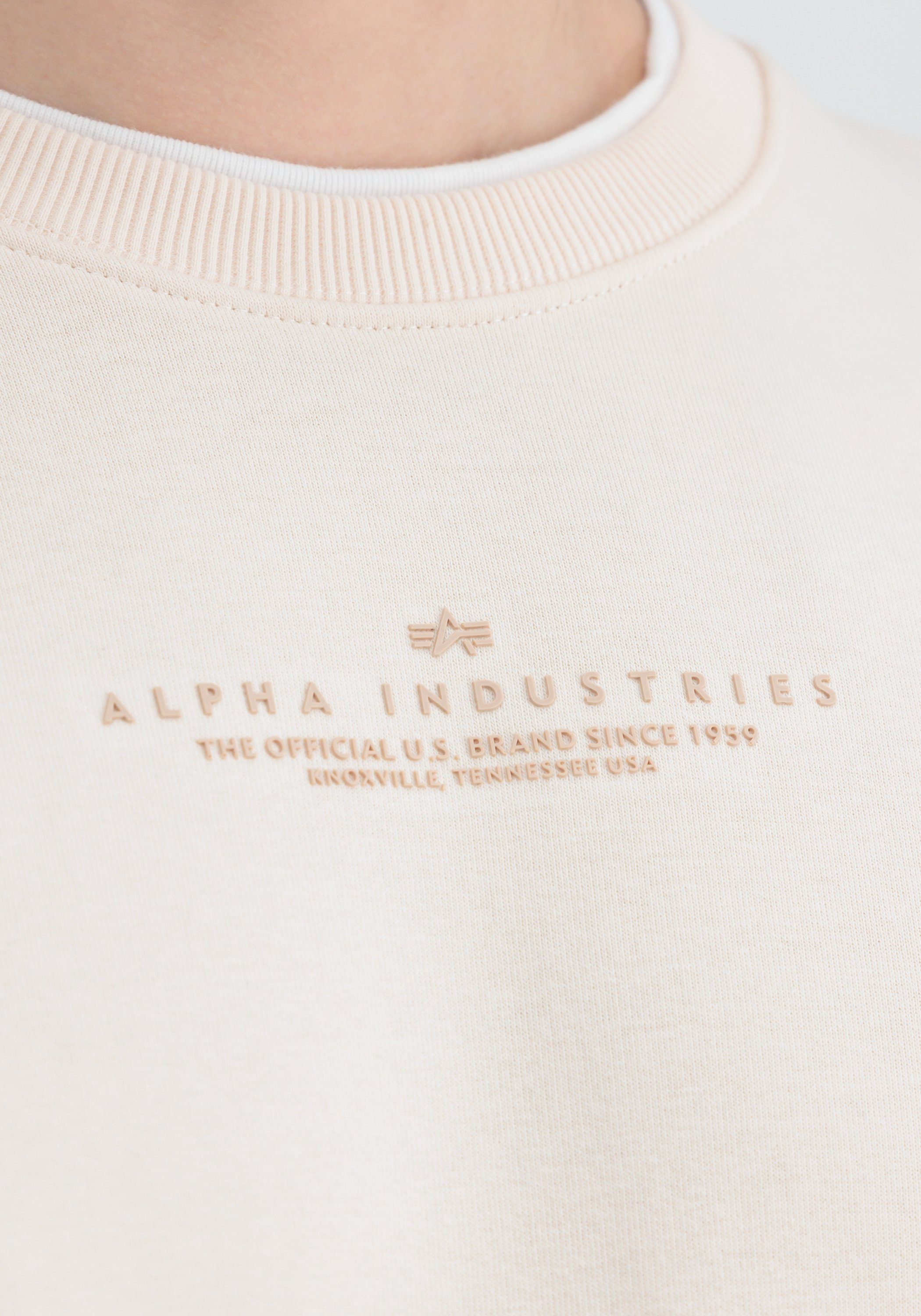 Sweater white jet Double Sweater Sweatshirts Men Industries Alpha Alpha Industries stream - Layer