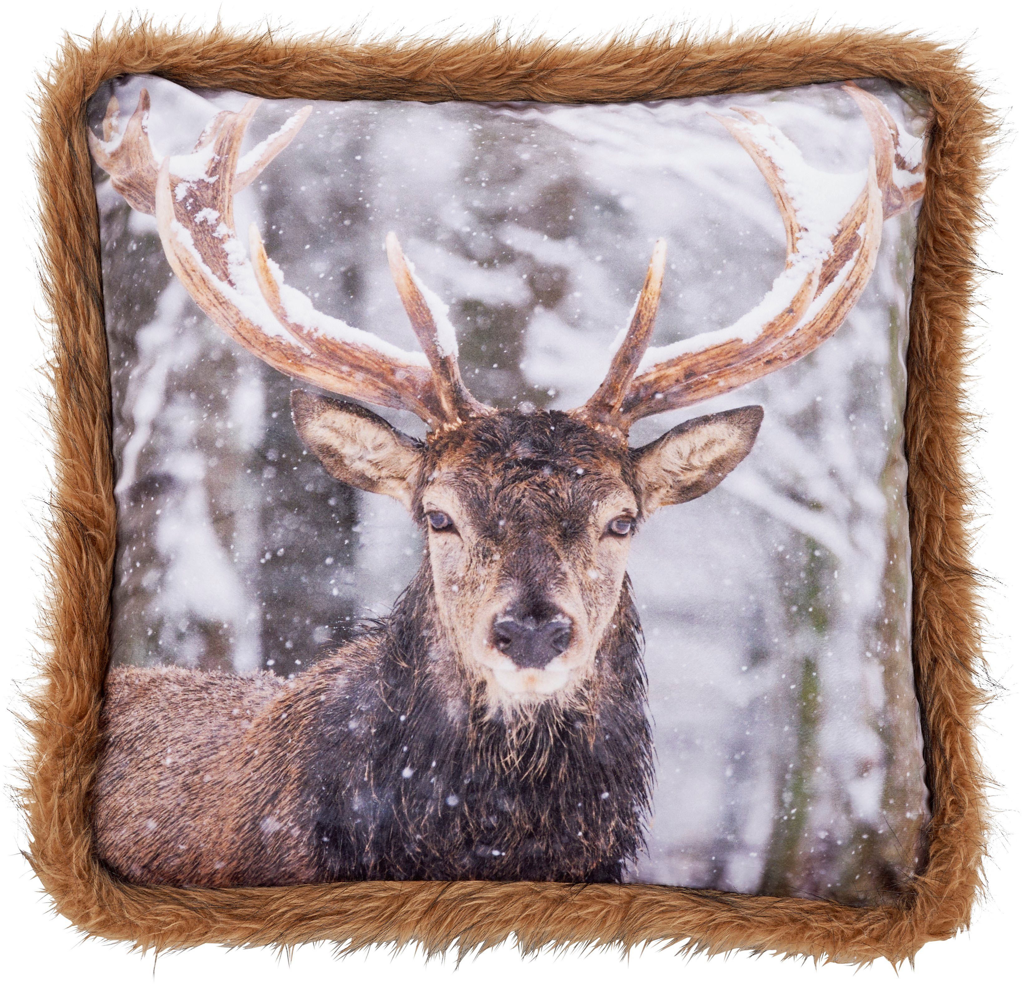 done.® Dekokissen Deer, Bedrucktes Kissen in feinem Samtstoff