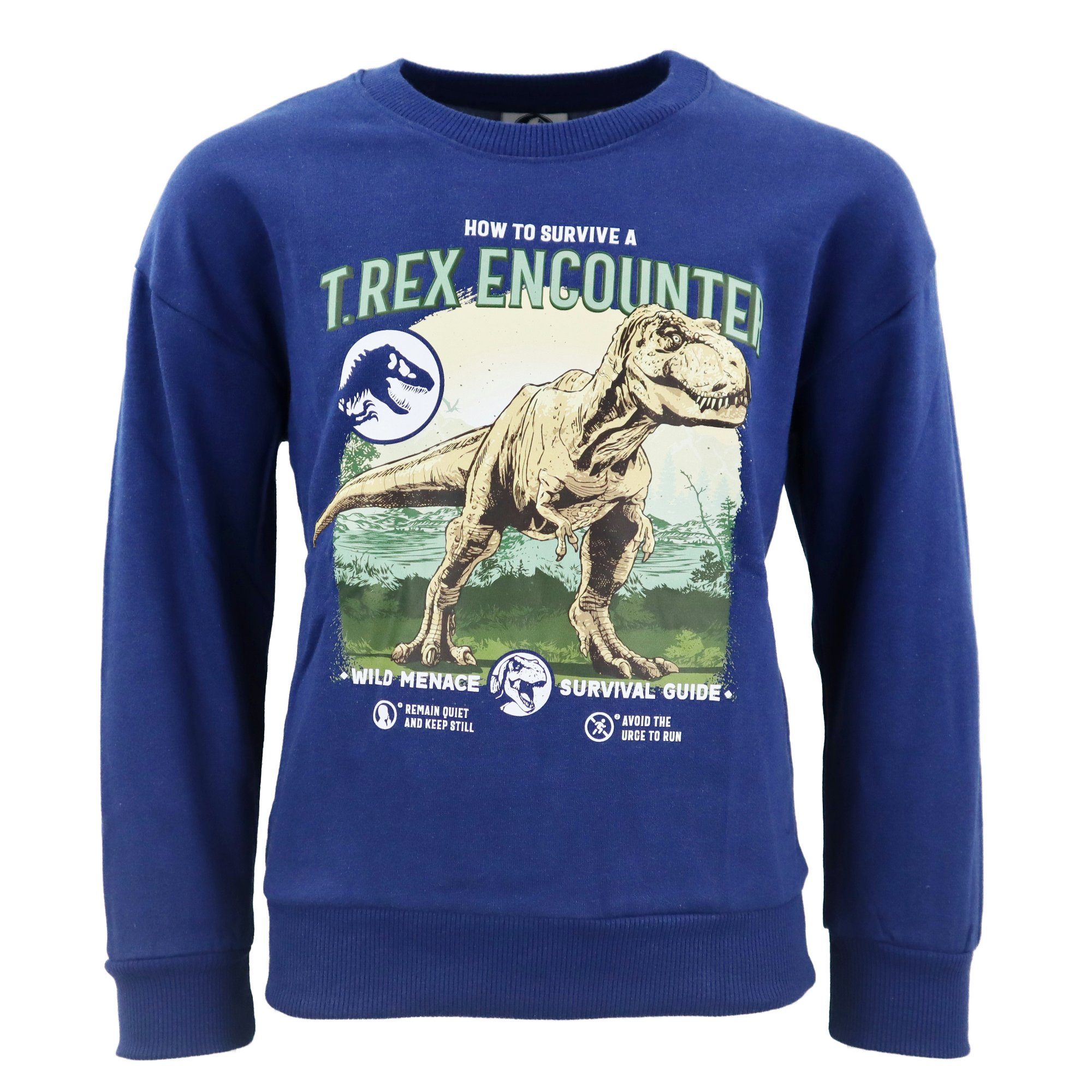 Jurassic World Sweater Jurassic World Dinos Kinder Pullover Jungen Pulli 104 bis 152