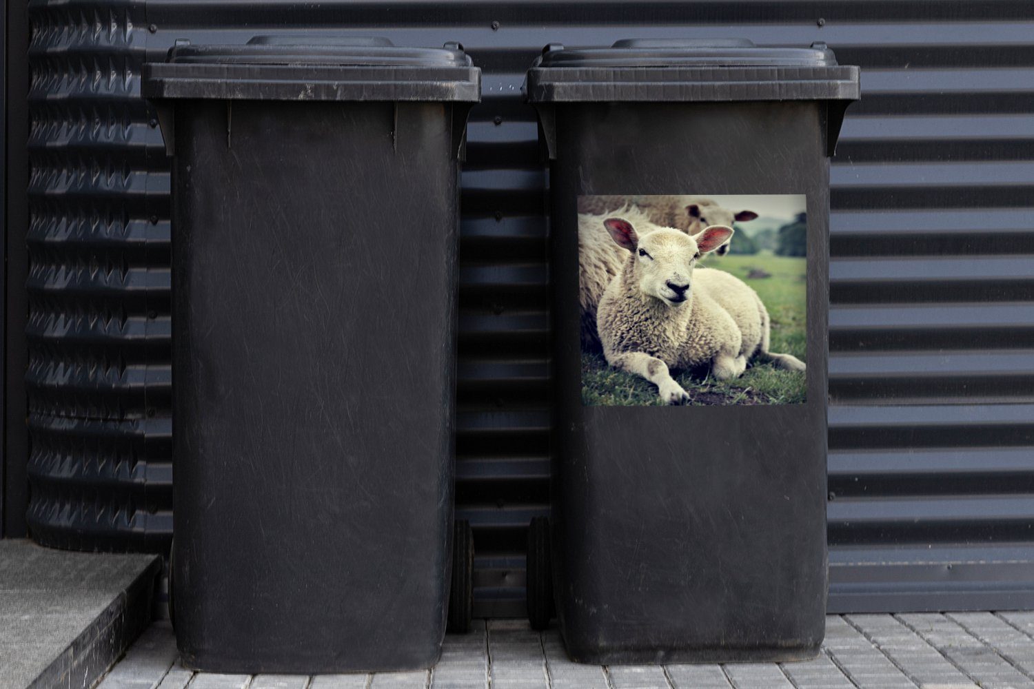 Mülltonne, Abfalbehälter Container, Lamm Gras Sticker, Schaf Mülleimer-aufkleber, MuchoWow St), (1 Wandsticker - -