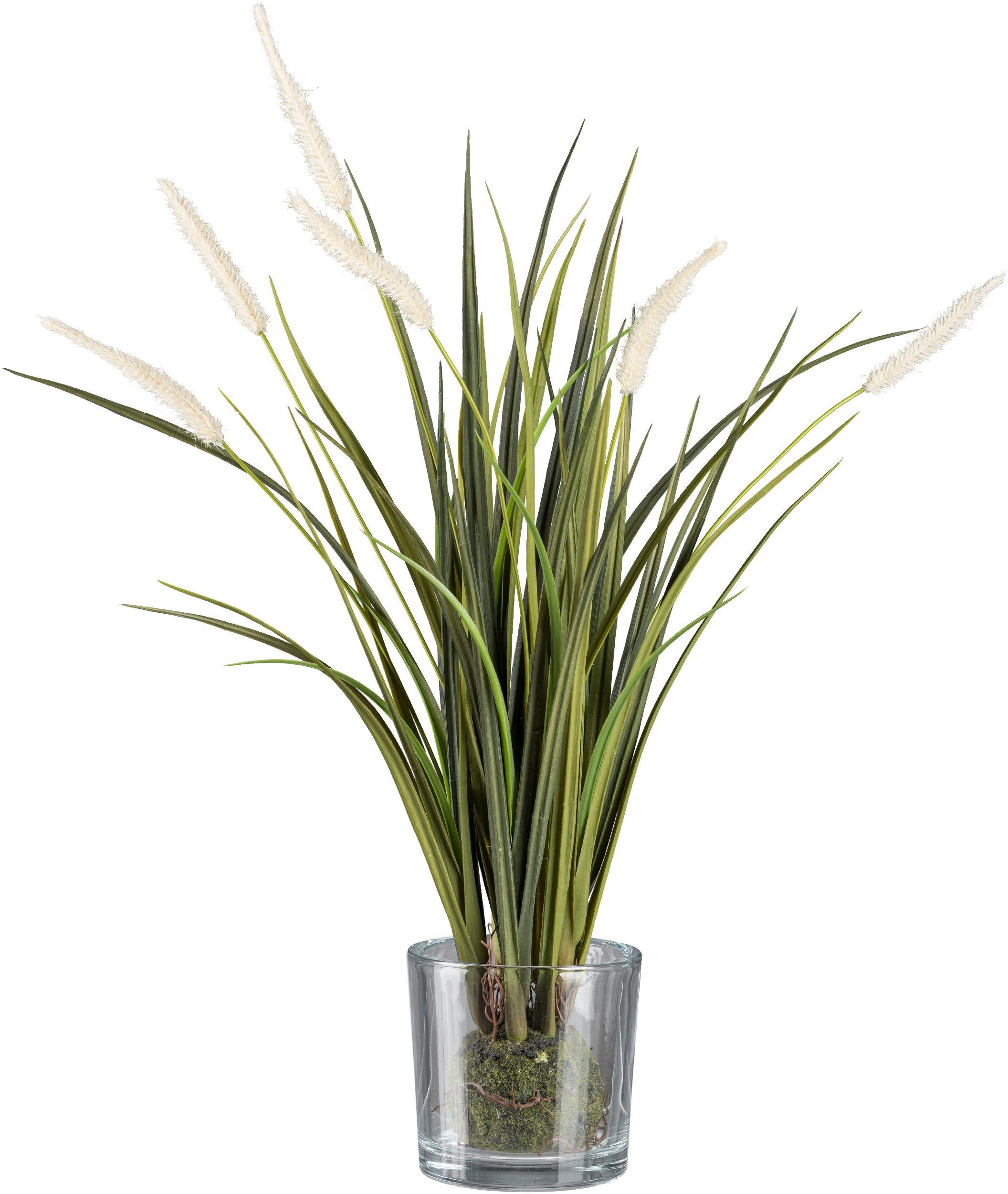 Kunstgras Grasbusch Miscanthus im Erdballen mit günstig online kaufen