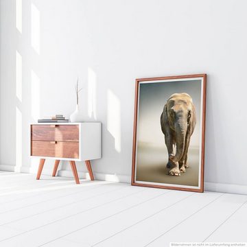 Sinus Art Poster 60x90cm Tierfotografie Poster Hochwertige Aufnahme eines Elefanten