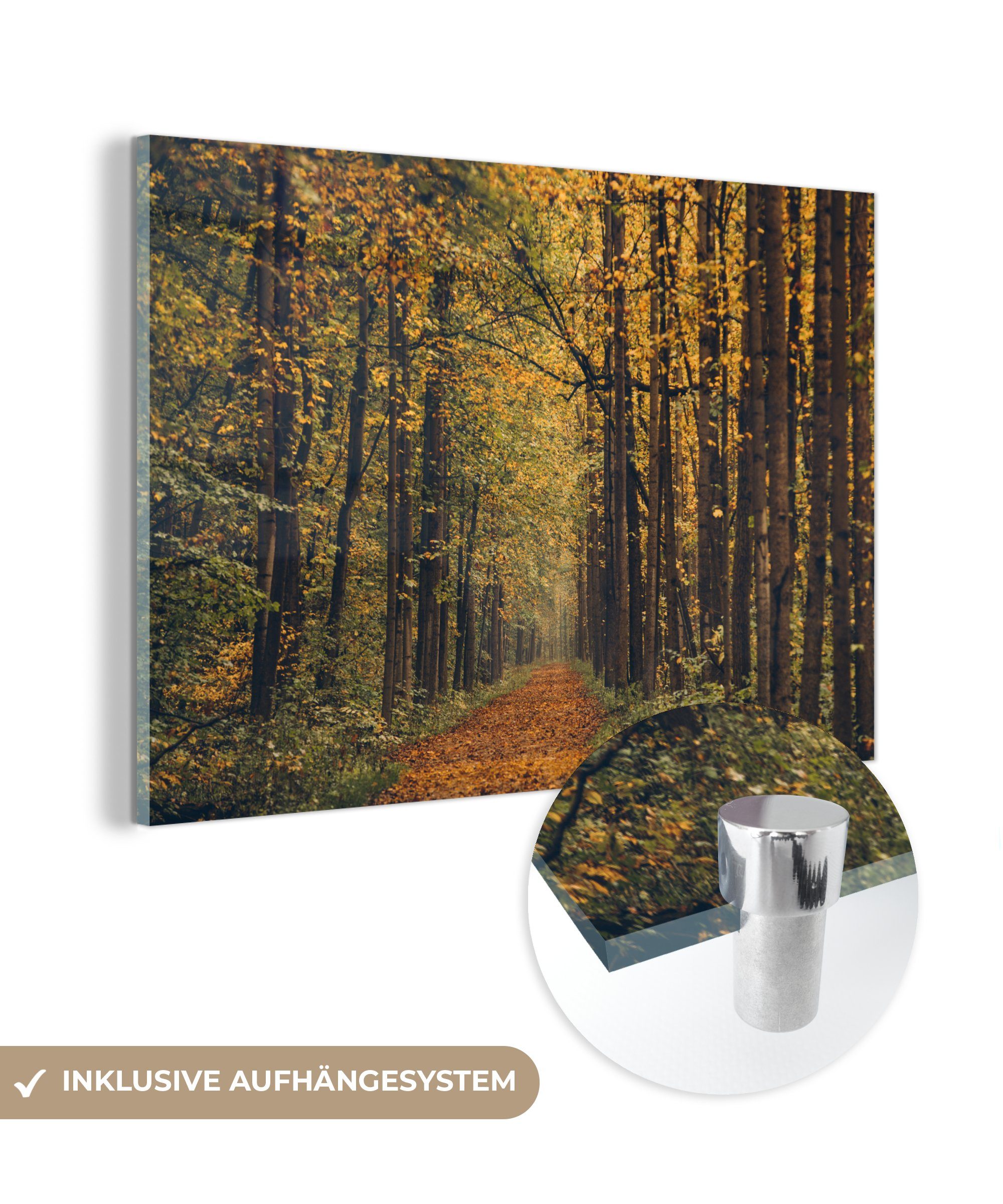 MuchoWow Acrylglasbild Mit Laub bedeckter Waldweg, (1 St), Acrylglasbilder Wohnzimmer & Schlafzimmer