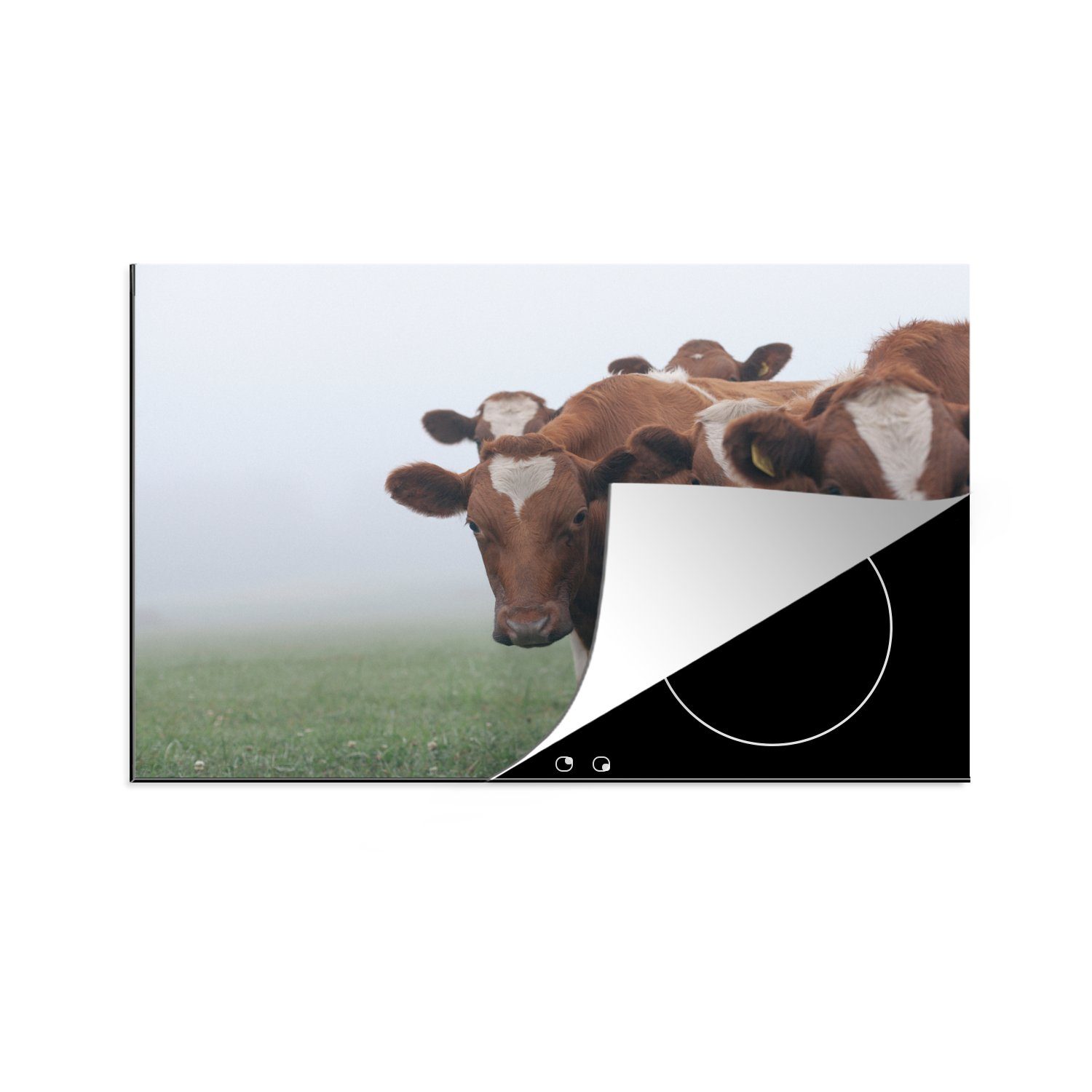 MuchoWow Herdblende-/Abdeckplatte Kühe - Braun - Nebel, Vinyl, (1 tlg), 81x52 cm, Induktionskochfeld Schutz für die küche, Ceranfeldabdeckung