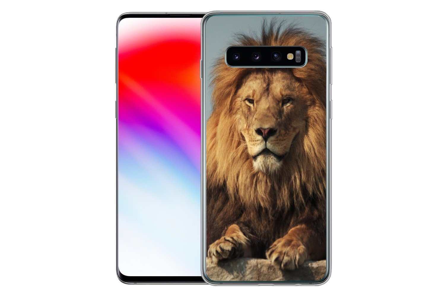 MuchoWow Handyhülle für Samsung Galaxy S10 Löwe - Felsen - Porträt, Phone Case, Silikon, Schutzhülle Dünn