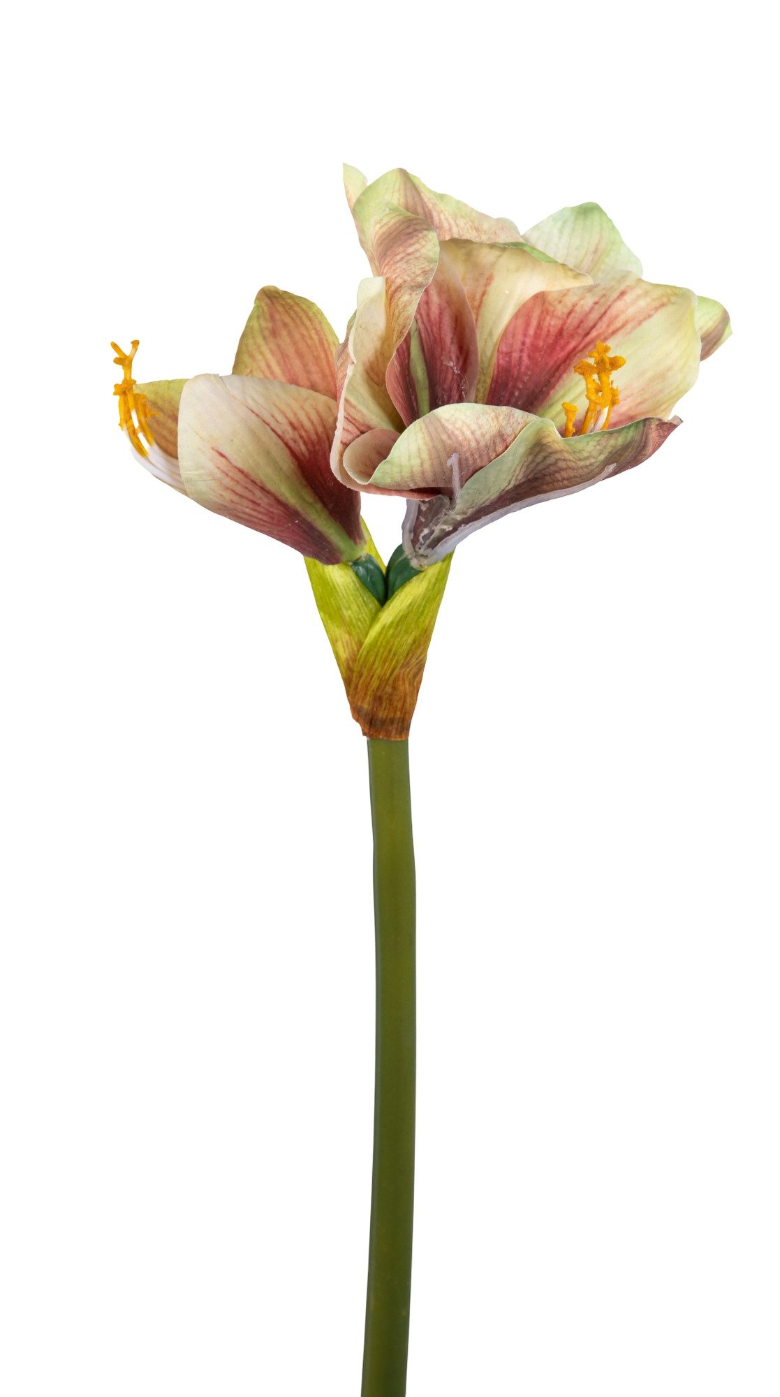 Kunstblume Amaryllis Real Touch 68cm GA Dekoblumen künstliche Blumen Ritter günstig online kaufen