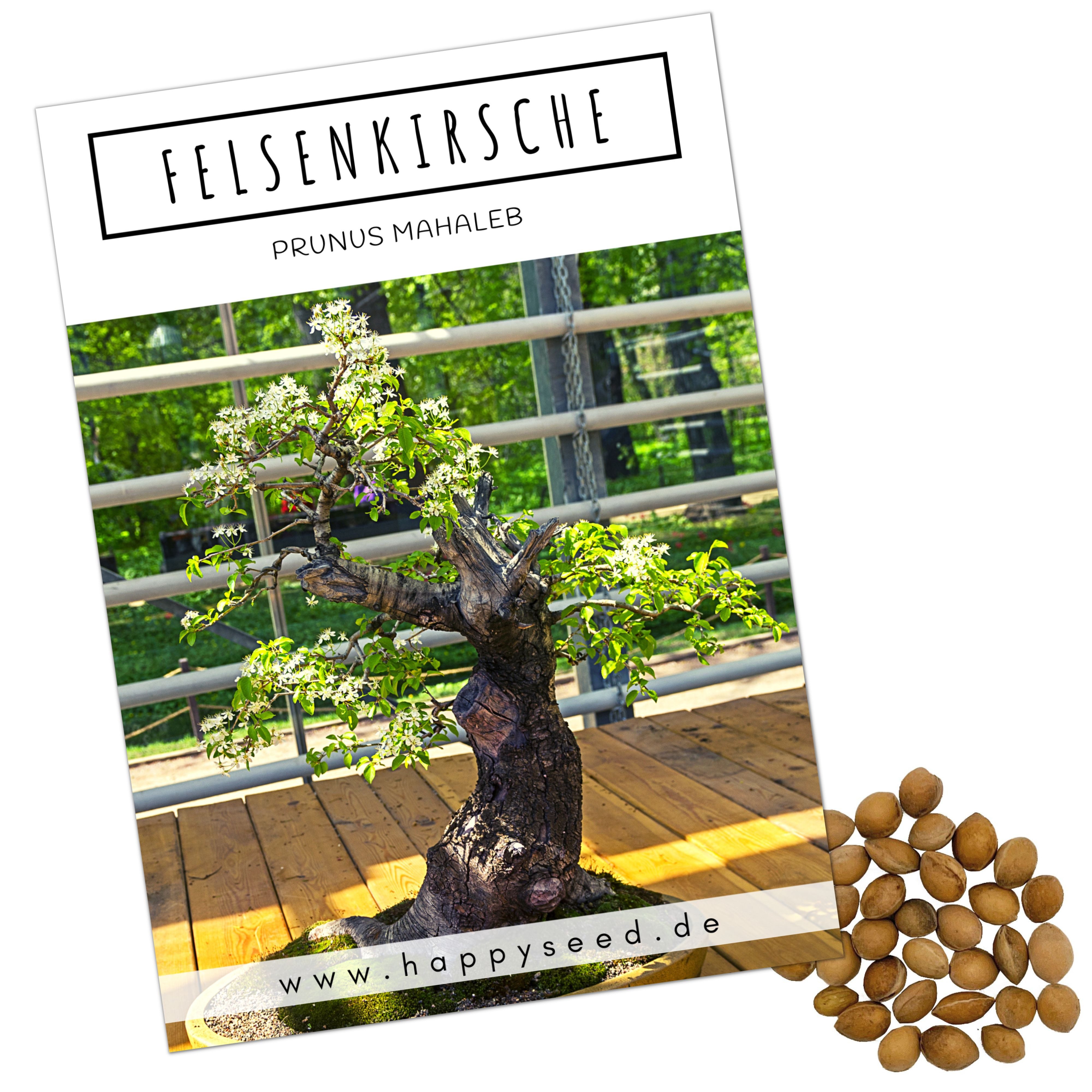 HappySeed Blumensamen Einzigartige Bonsai Samen mit hoher Keimrate - Felsenkirsche, Bonsaifähig