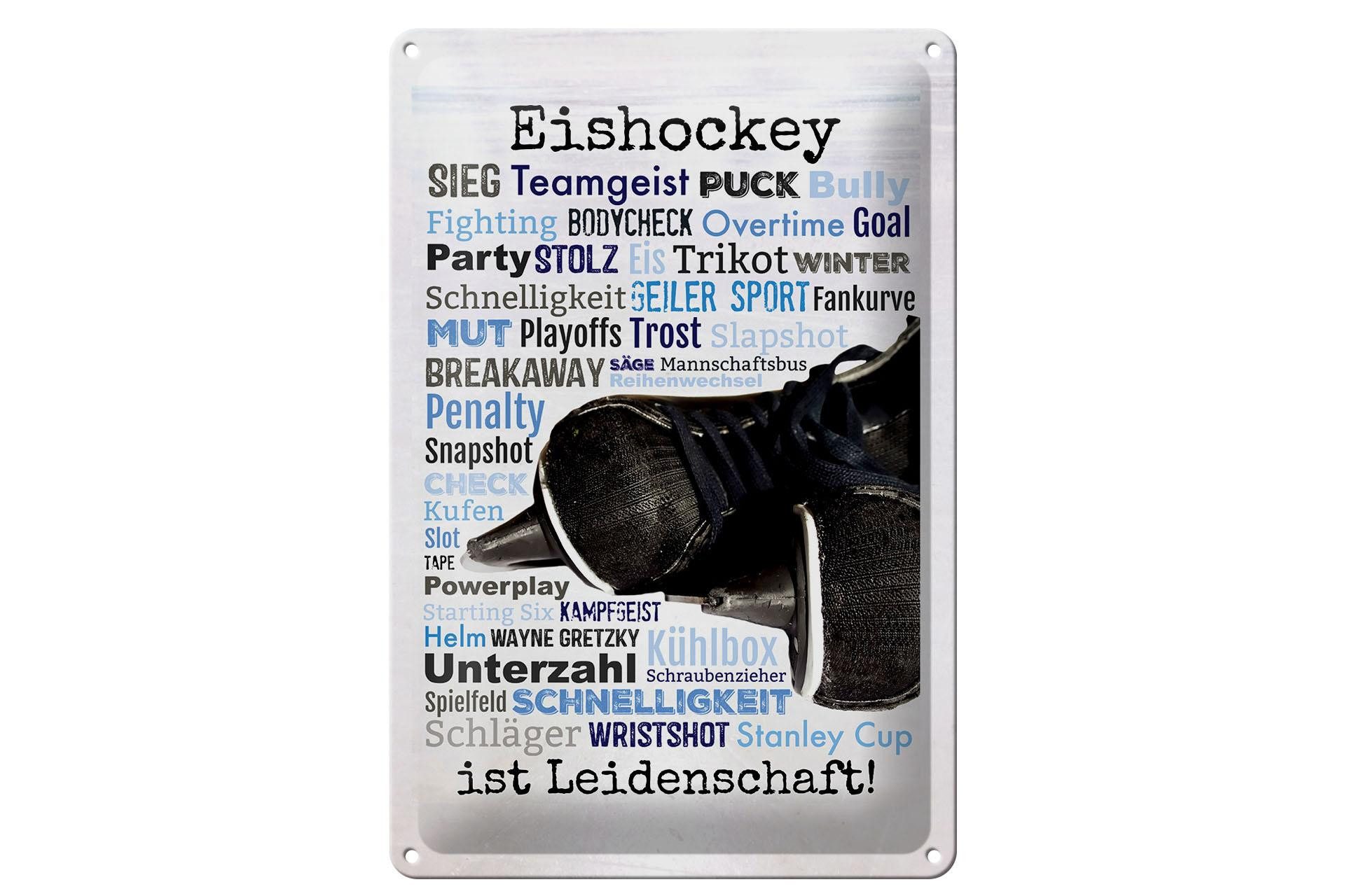 Femer GmbH Metallschild Spruch 20x30 cm Eishockey ist Leidenschaft Eishockeybegriffe, (1 St), gewölbte Oberfläche, abgerundete Ecken, umgeschlagene Kanten